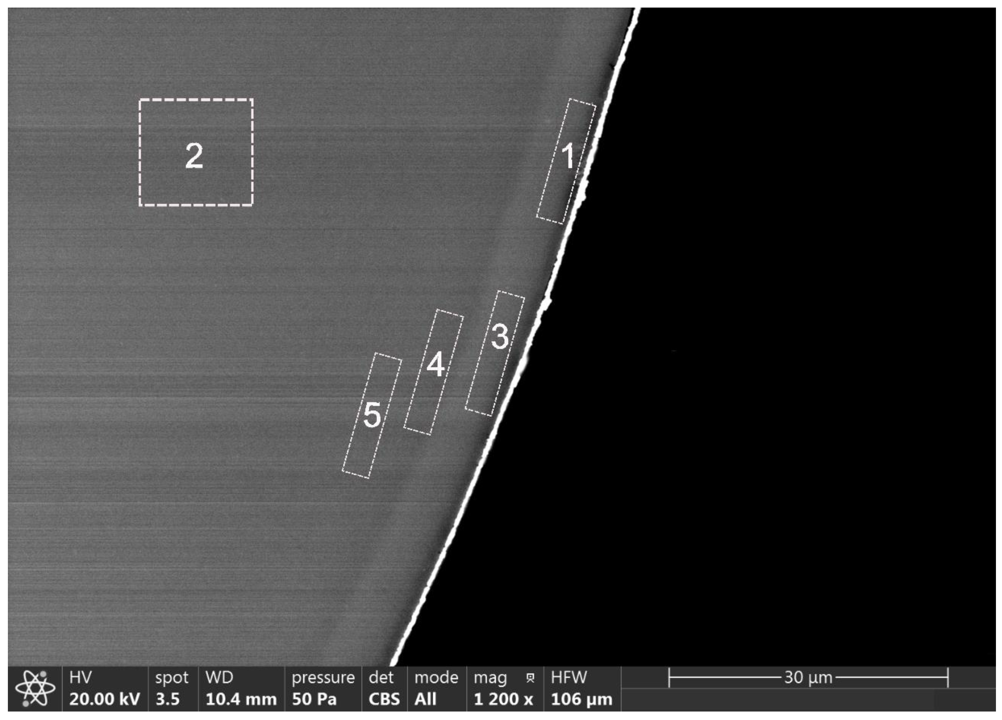 Bacteria 03 00023 g001