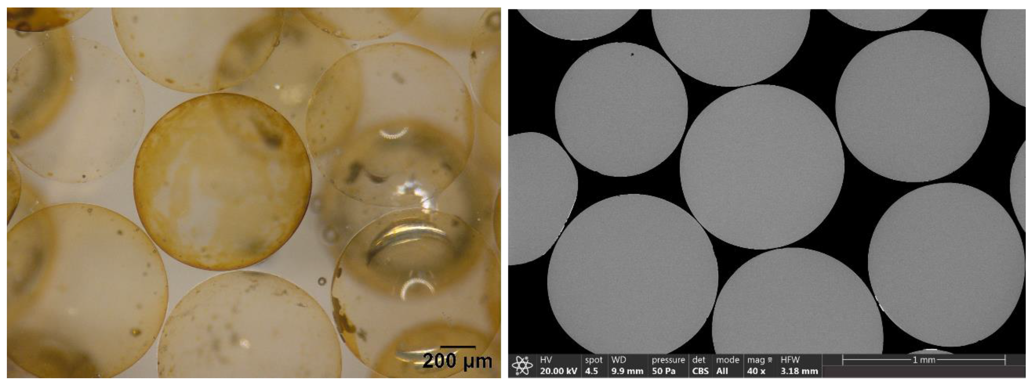 Bacteria 03 00023 g004