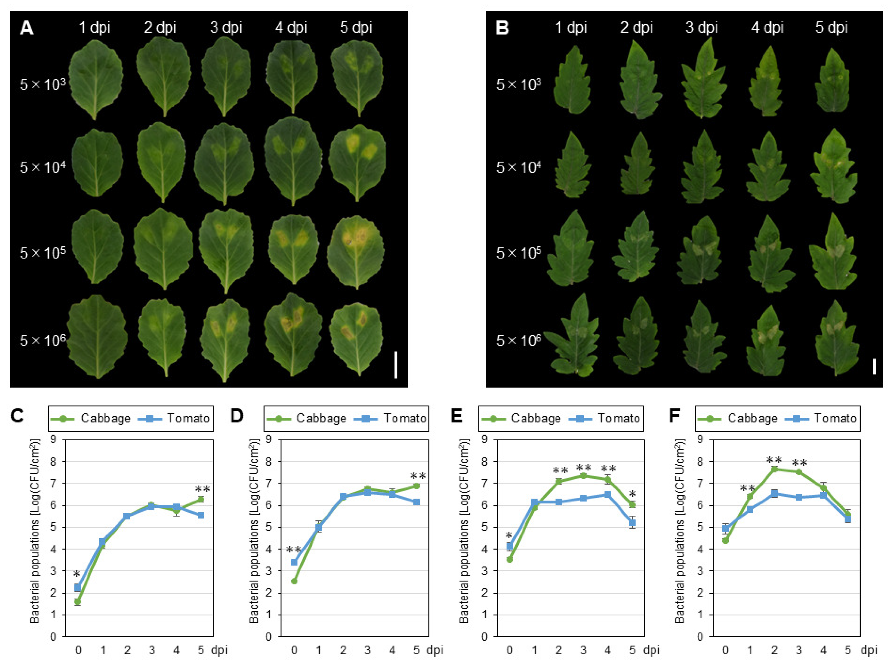 Bacteria 03 00026 g001 Bacteria 03 00026 g001