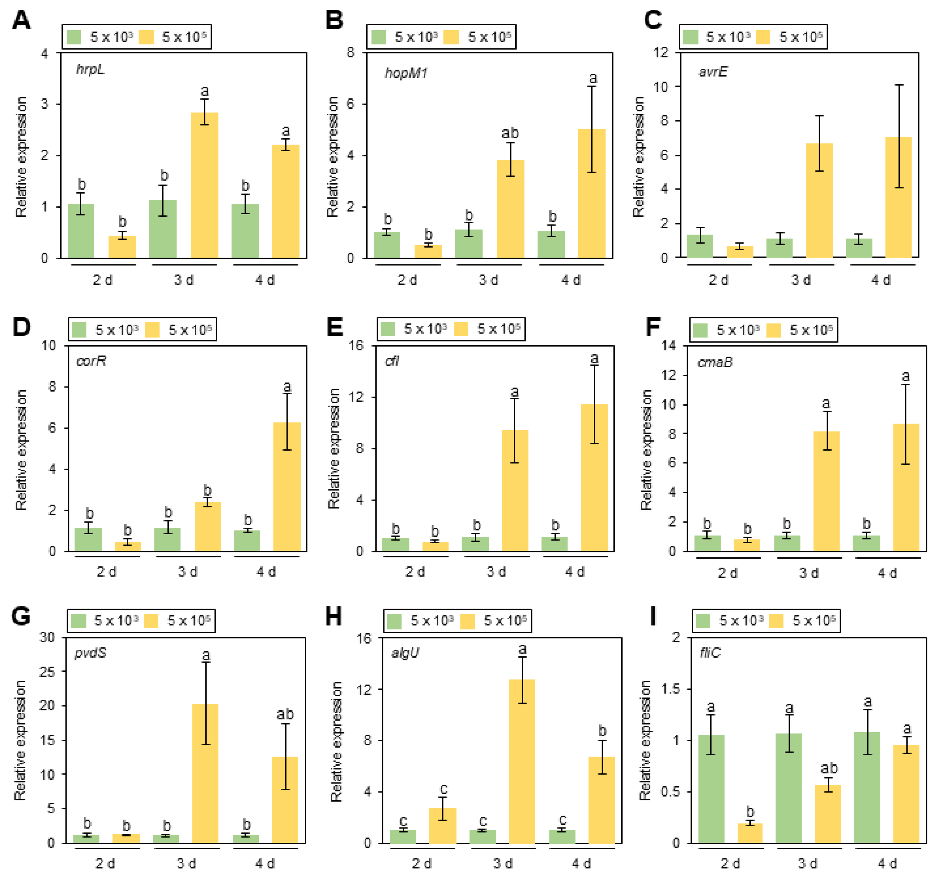 Bacteria 03 00026 g004 Bacteria 03 00026 g004