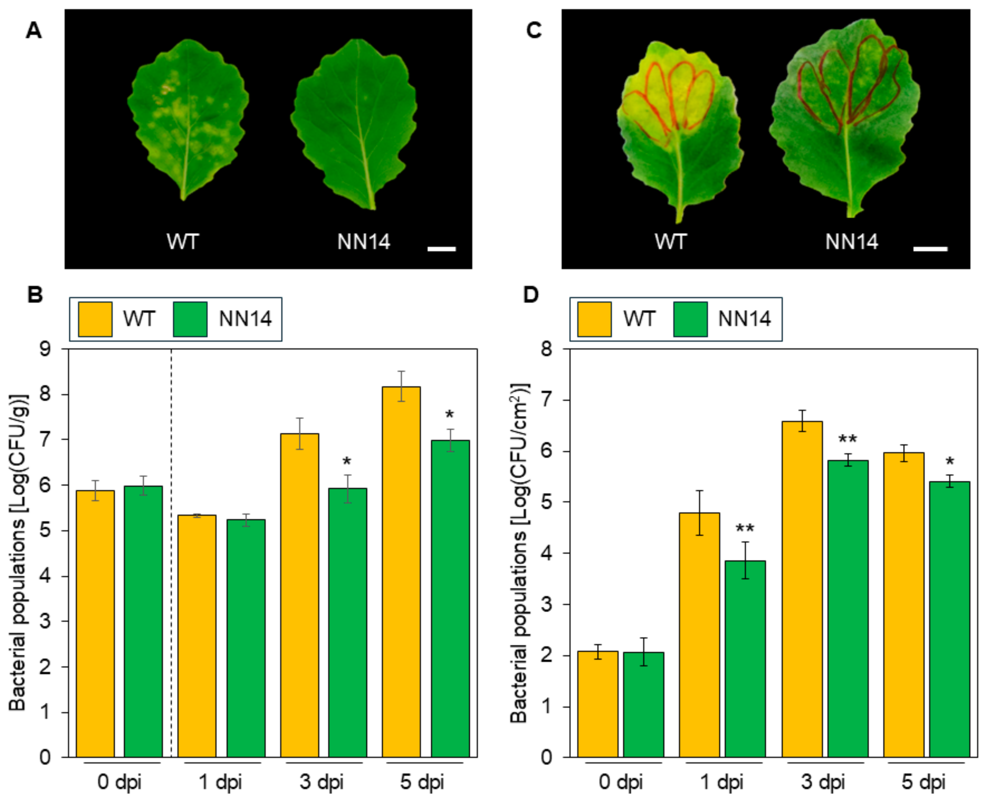 Bacteria 03 00033 g001