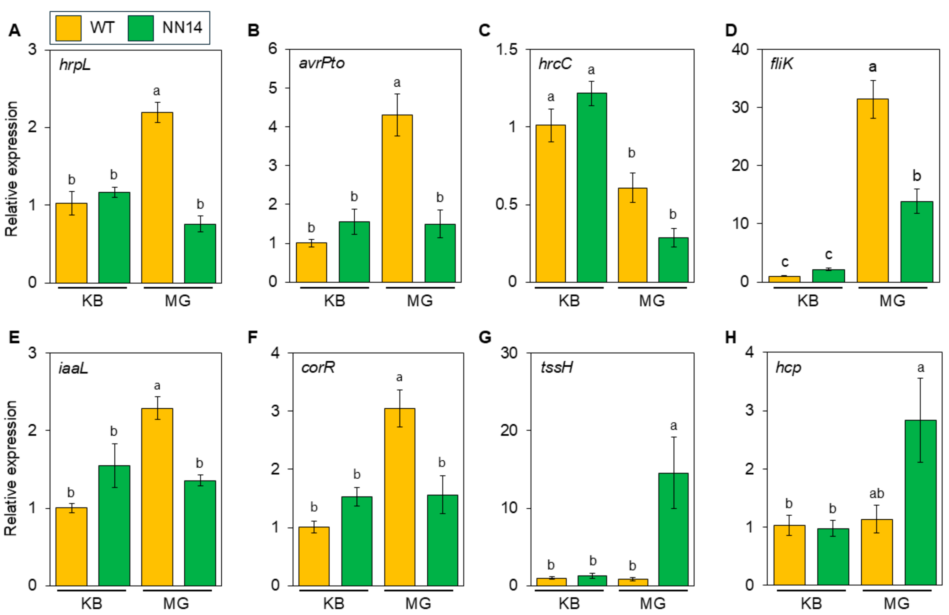 Bacteria 03 00033 g002
