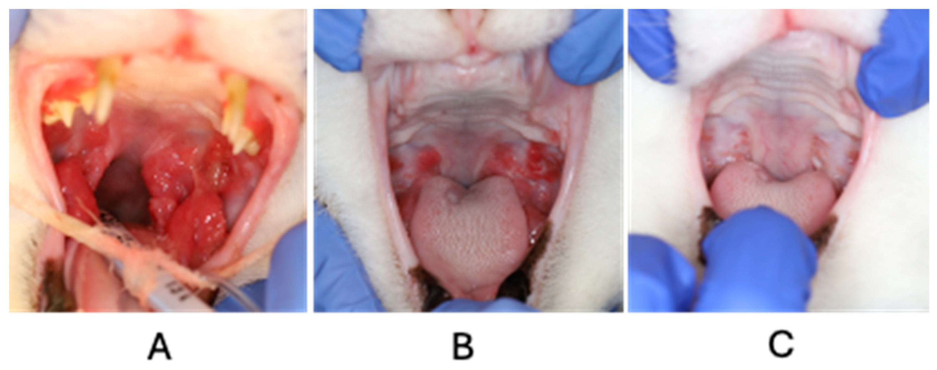 Bacteria 04 00001 g001