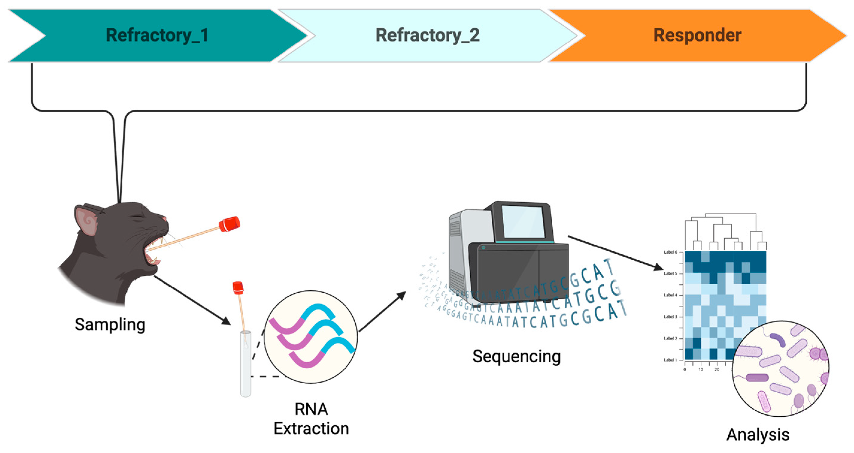 Bacteria 04 00001 g002