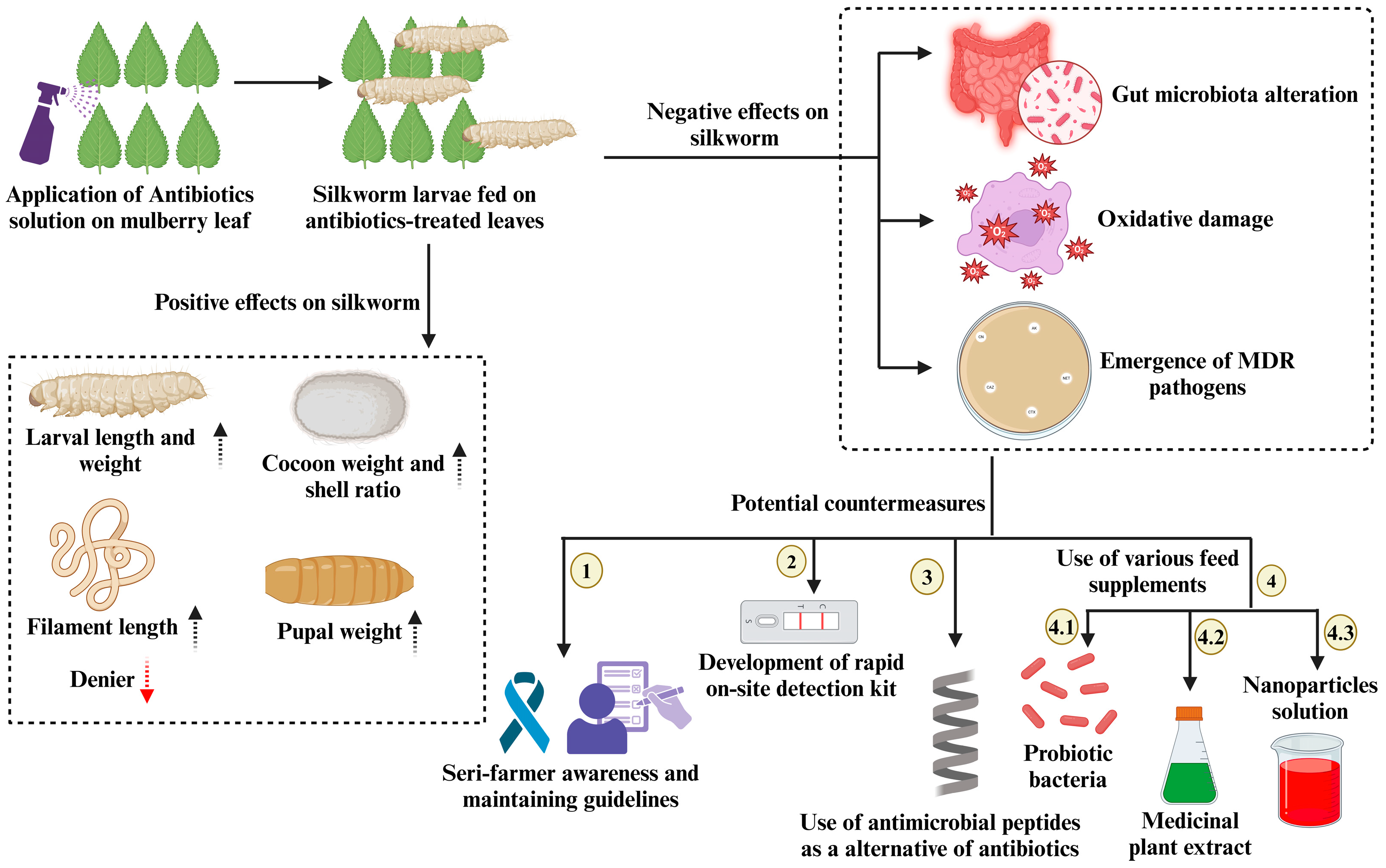Bacteria 04 00002 g001