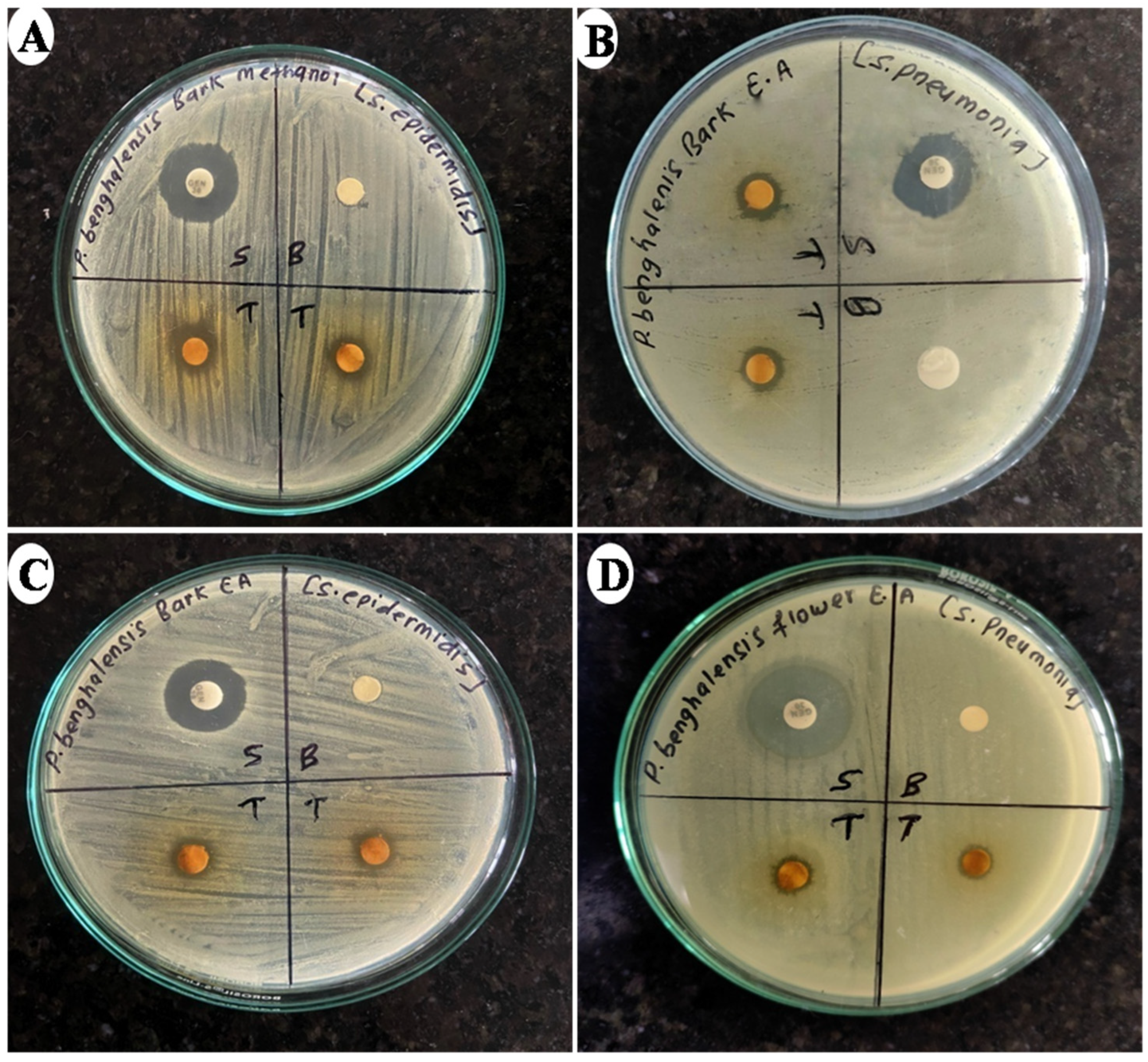 Bacteria 04 00003 g002
