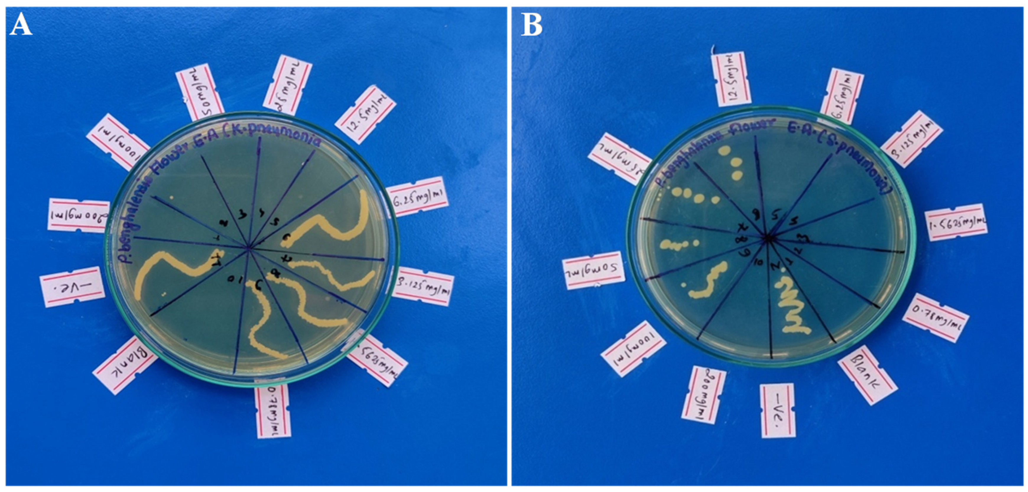 Bacteria 04 00003 g006