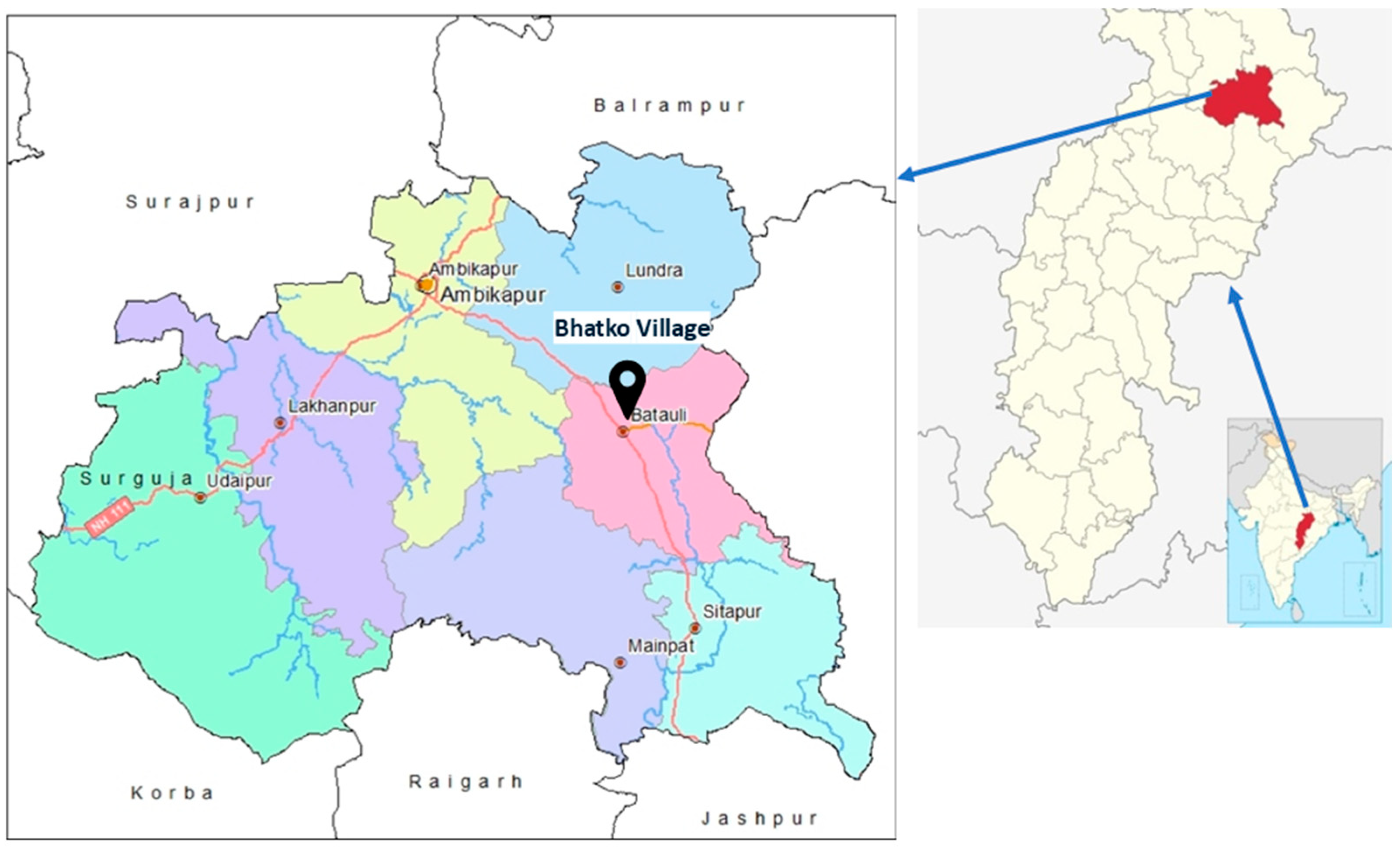 Bacteria 04 00005 g001