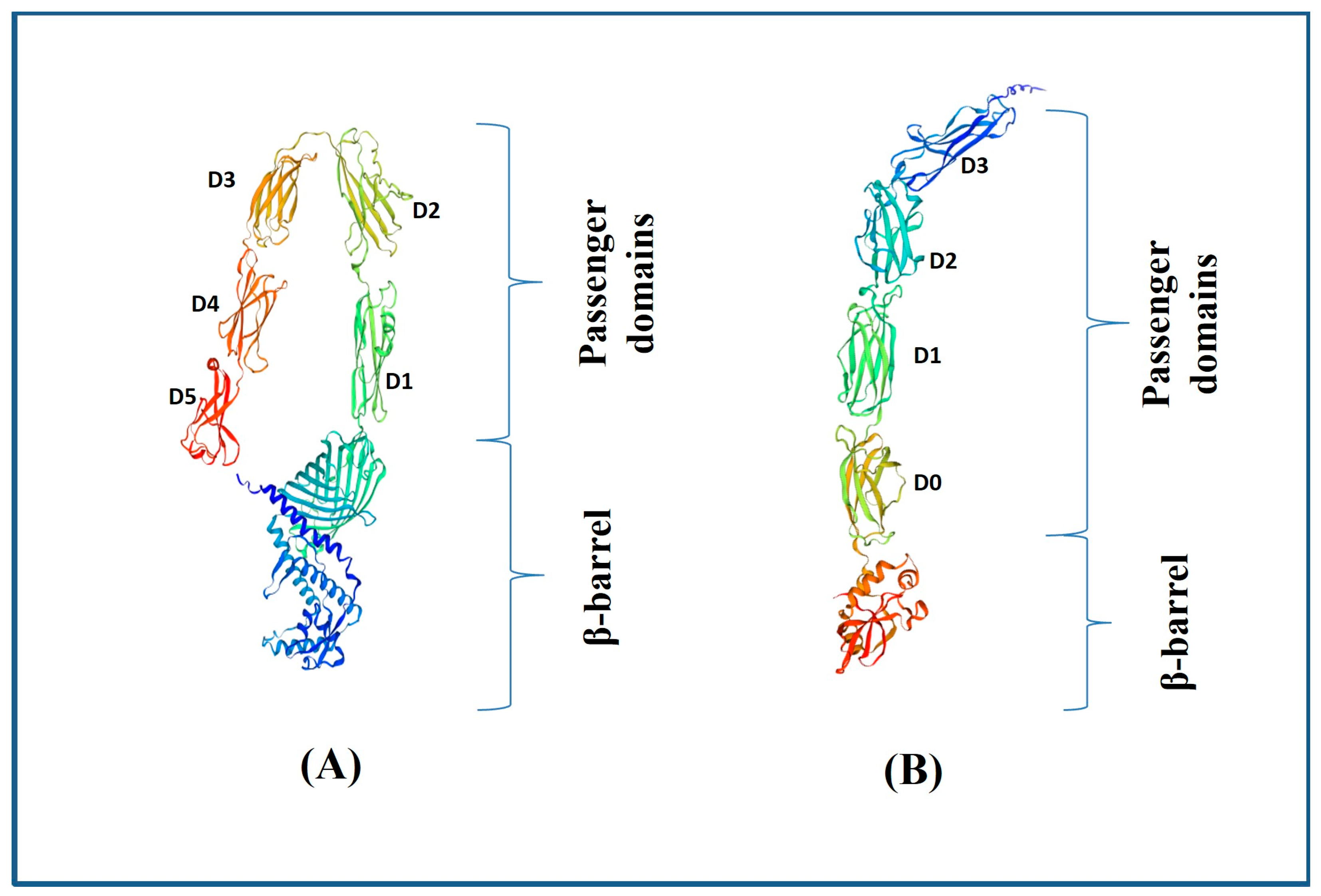 Bacteria 04 00007 g002 Bacteria 04 00007 g002