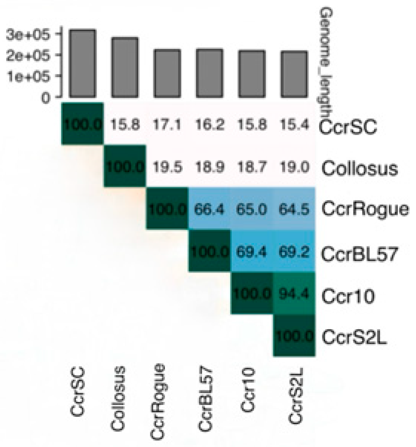 Bacteria 04 00008 g002