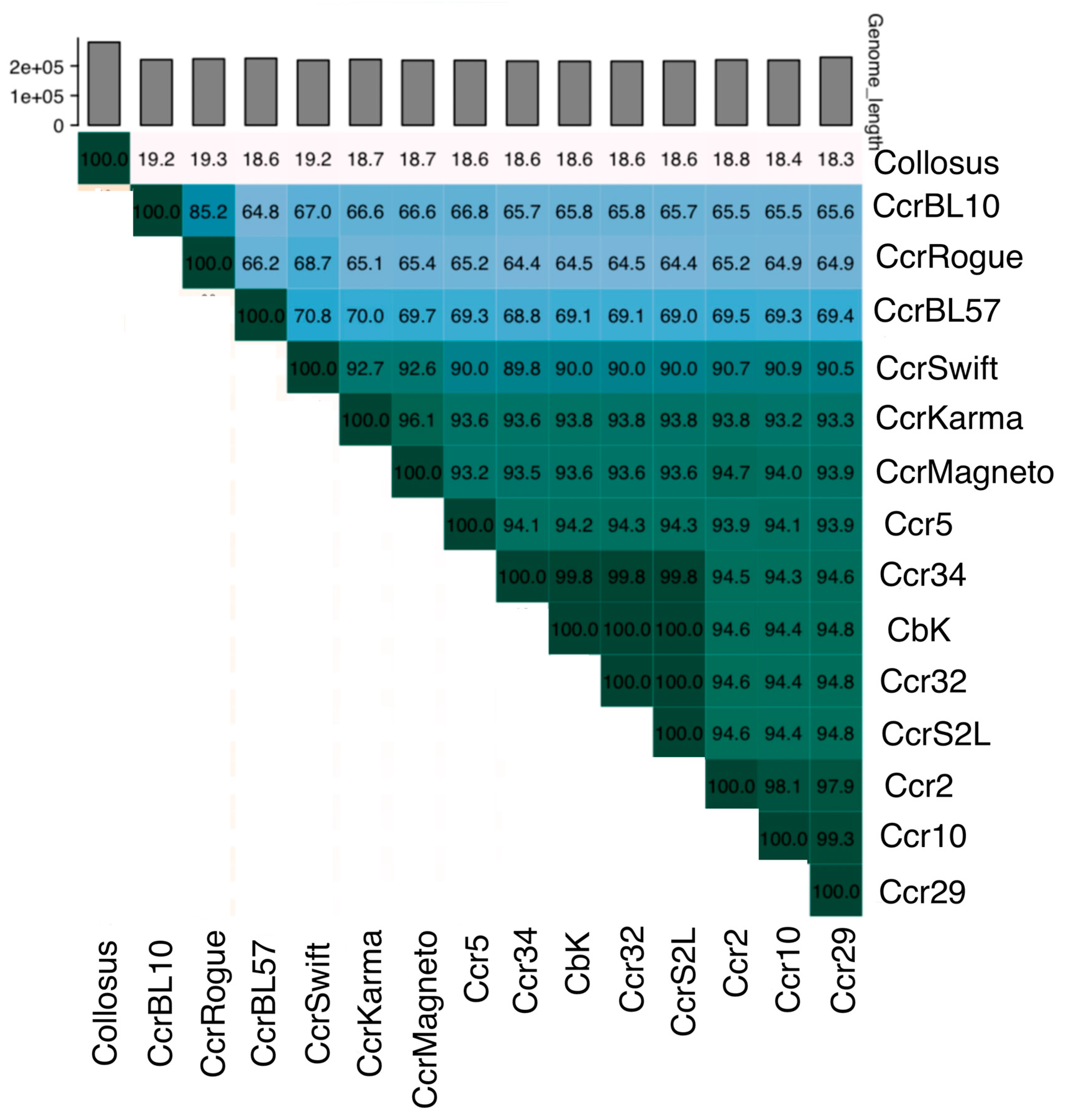 Bacteria 04 00008 g003