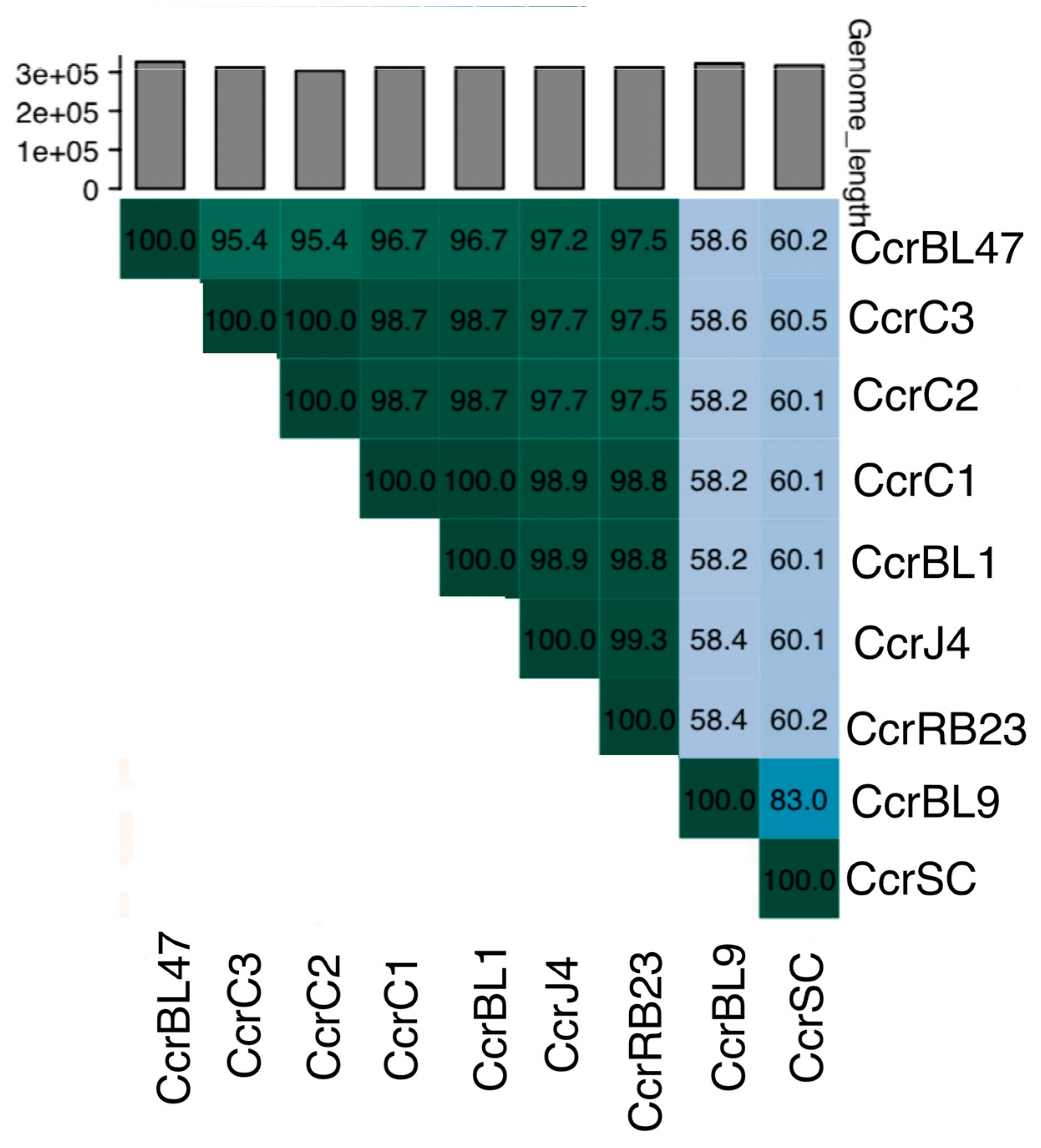Bacteria 04 00008 g004