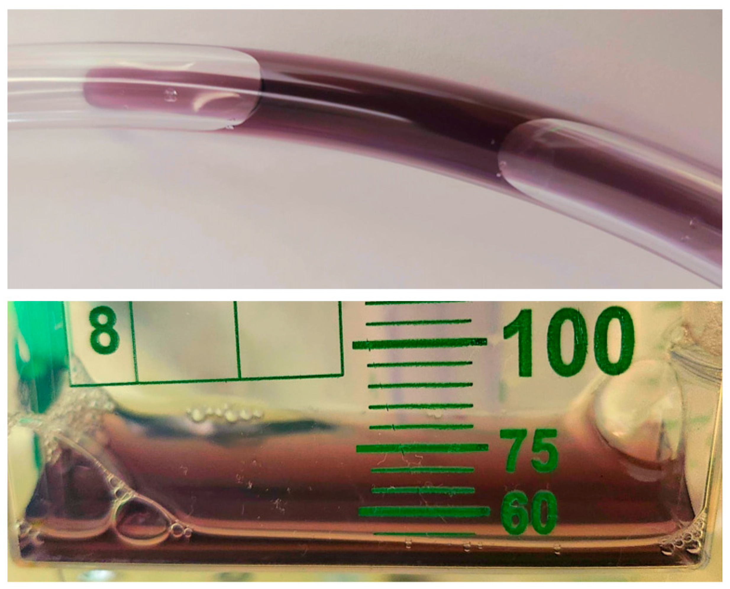 Bacteria 04 00009 g001