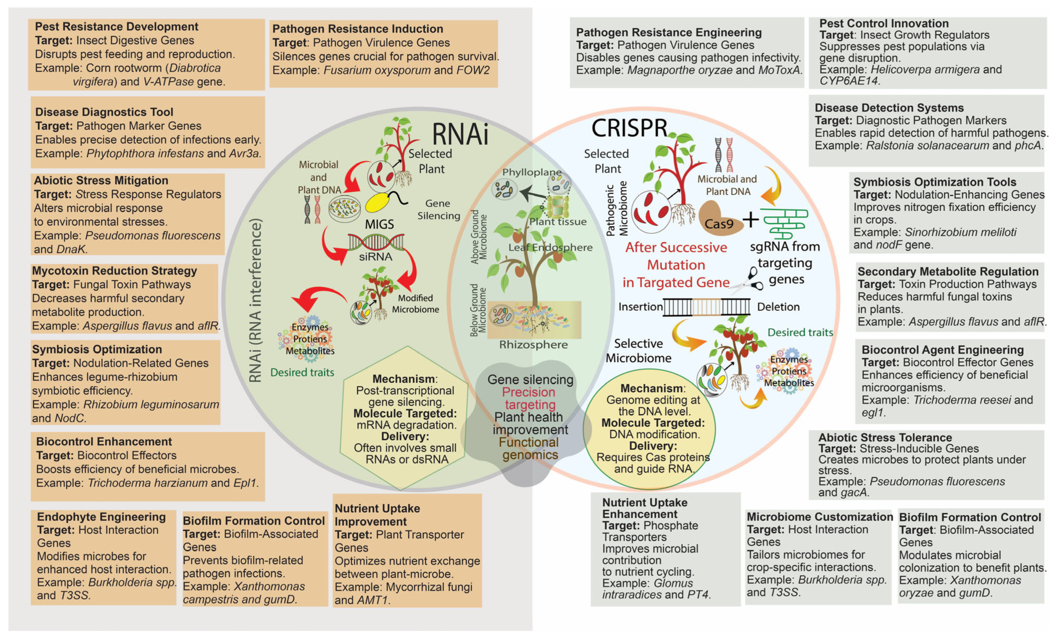 Bacteria 04 00012 g003