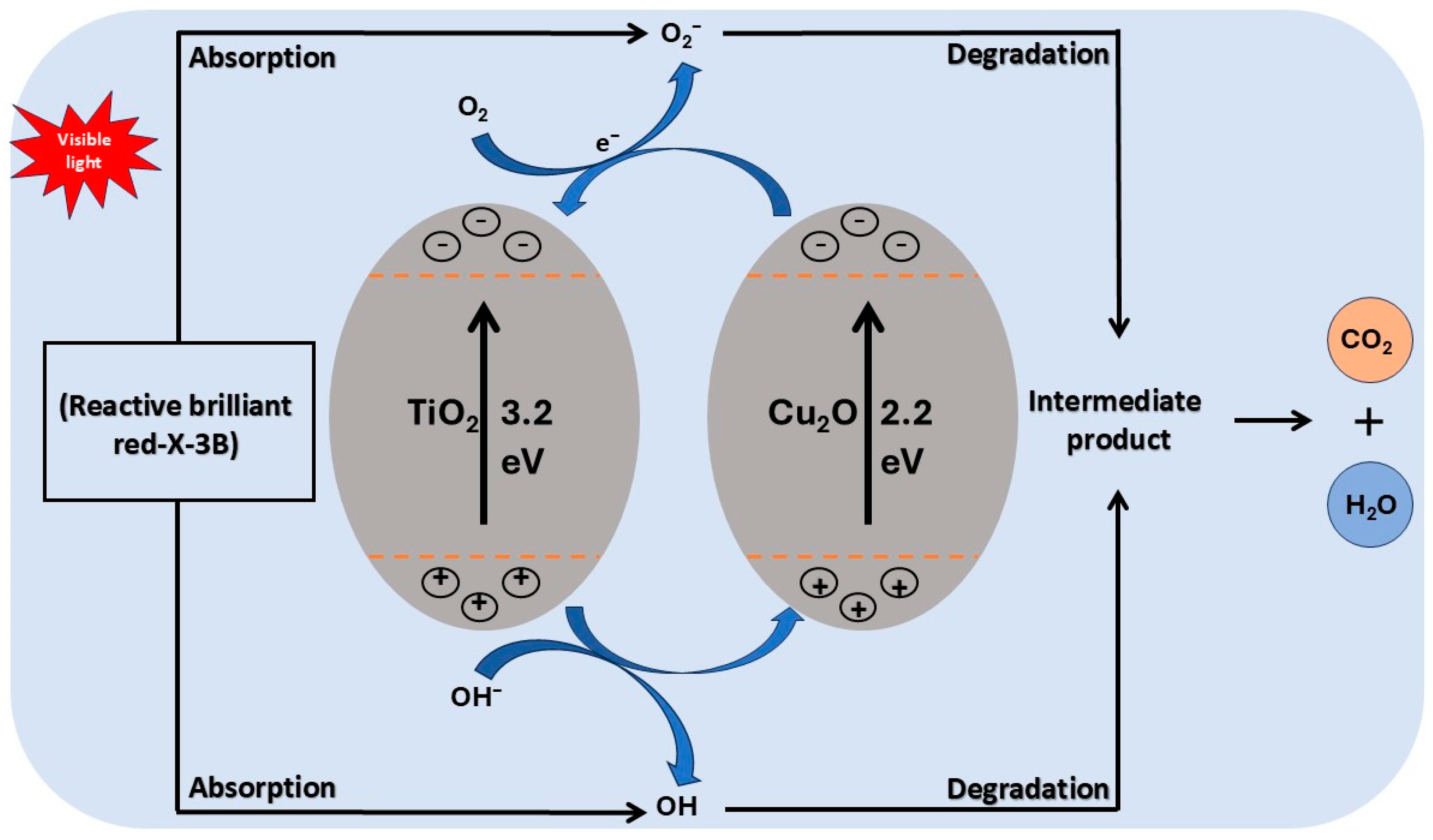 Bacteria 04 00015 g002