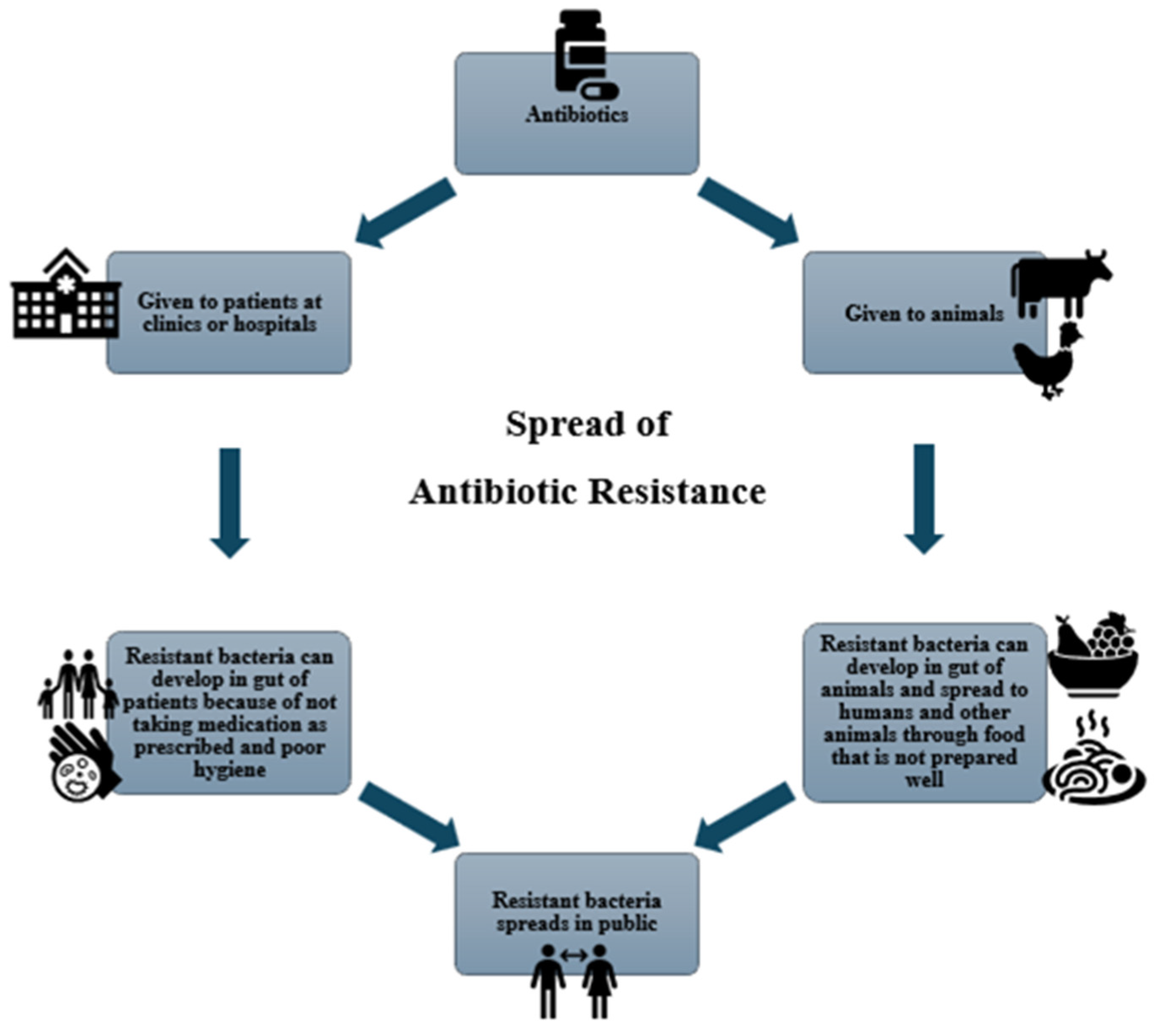 Bacteria 04 00016 g001
