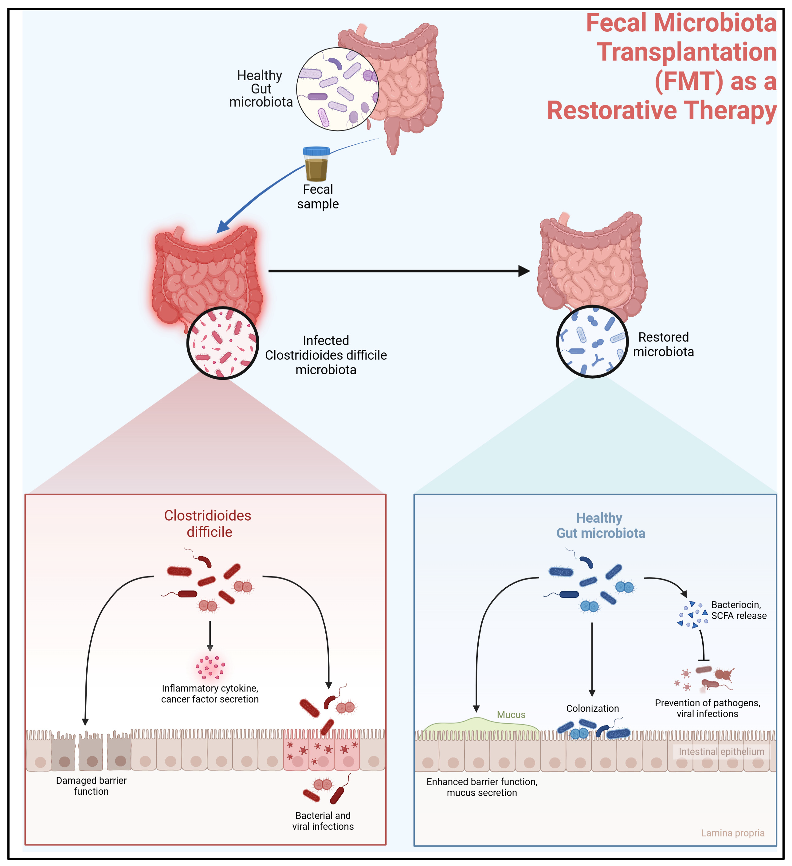Bacteria 04 00021 g002