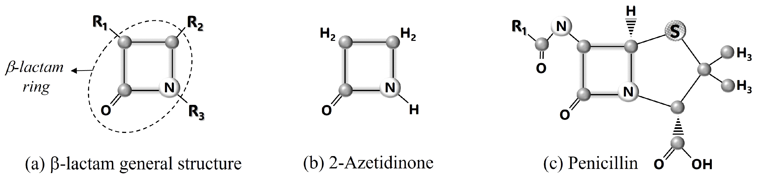 Bacteria 04 00022 g001