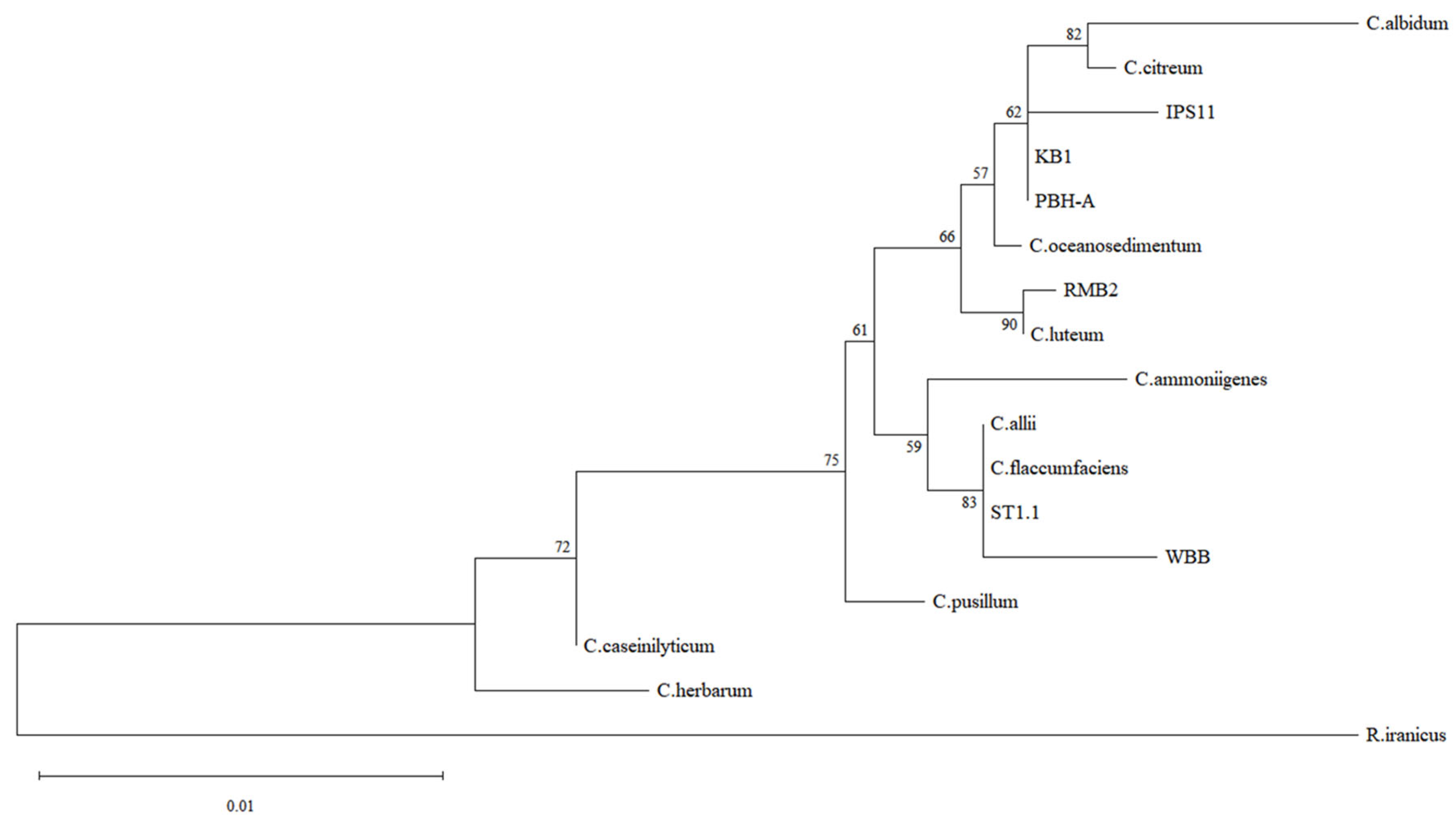 Bacteria 04 00025 g001