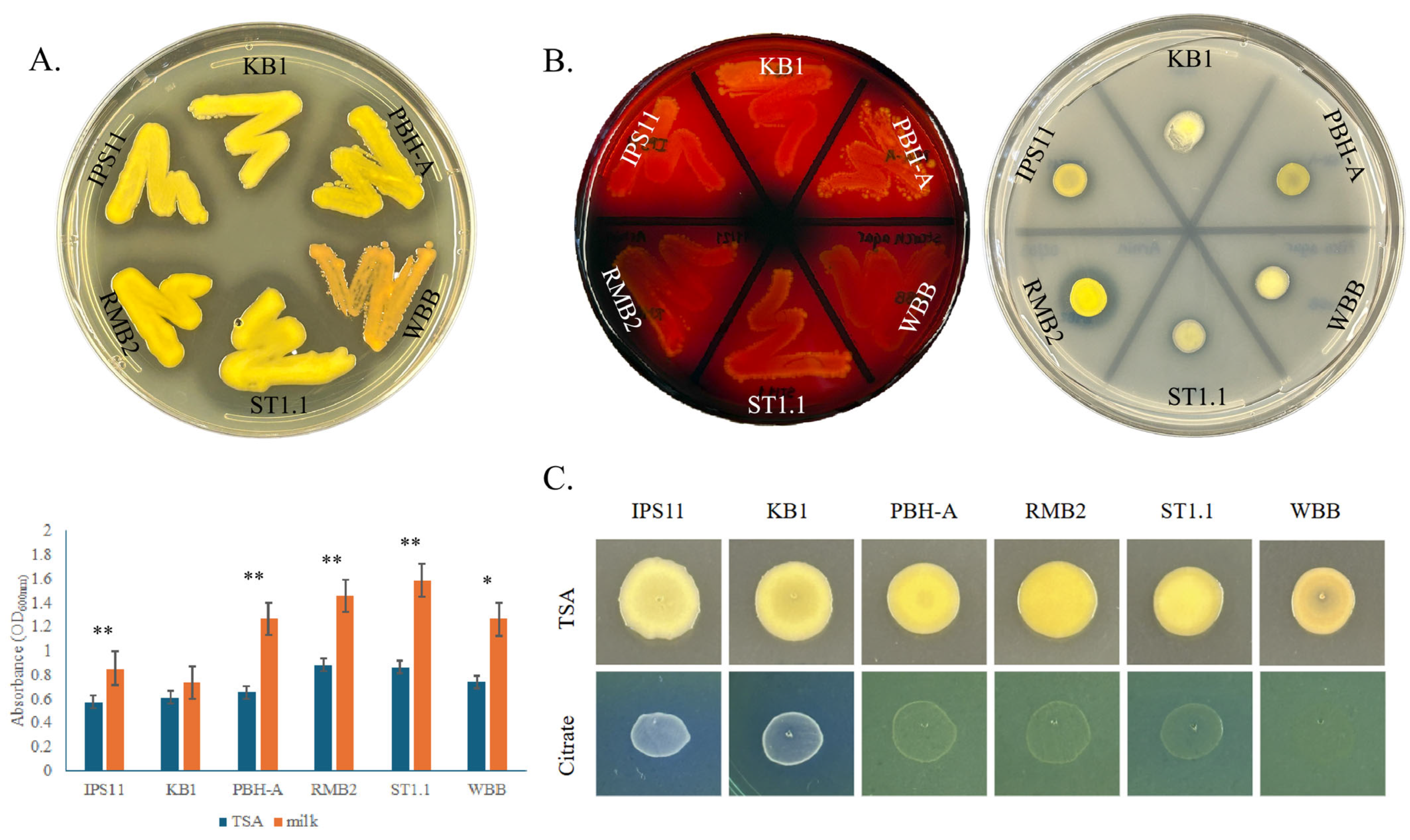 Bacteria 04 00025 g004