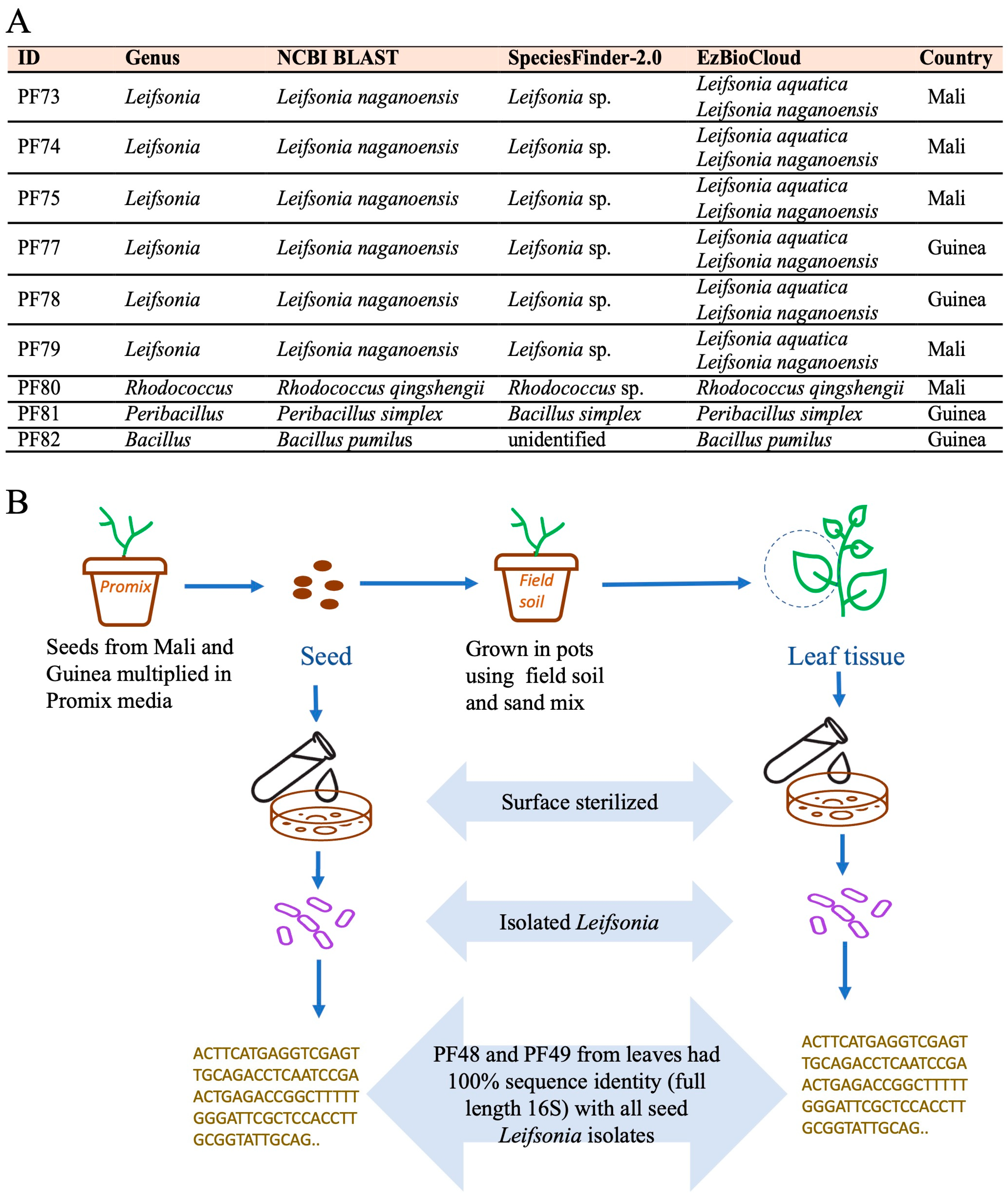 Bacteria 04 00031 g003