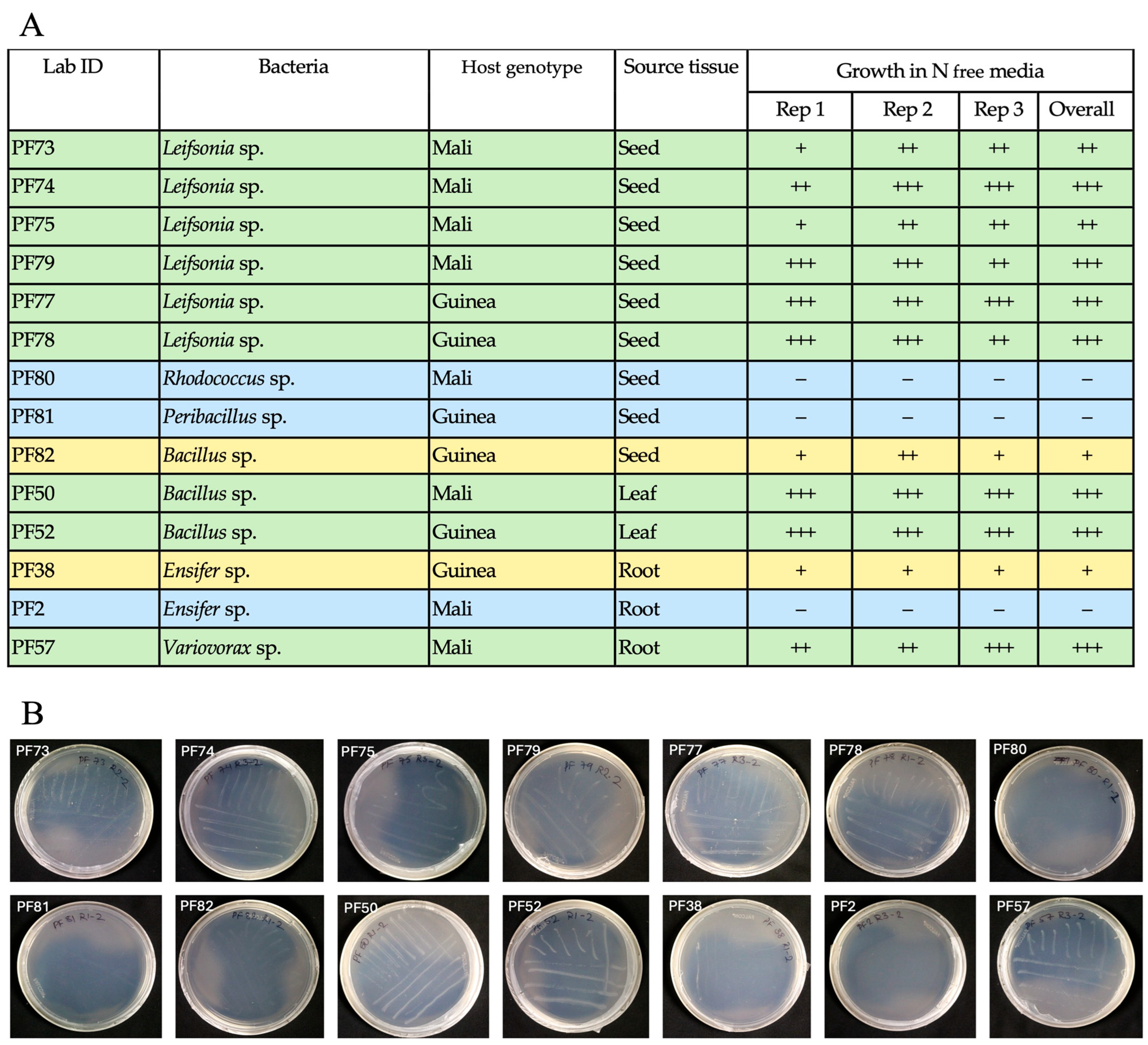 Bacteria 04 00031 g005