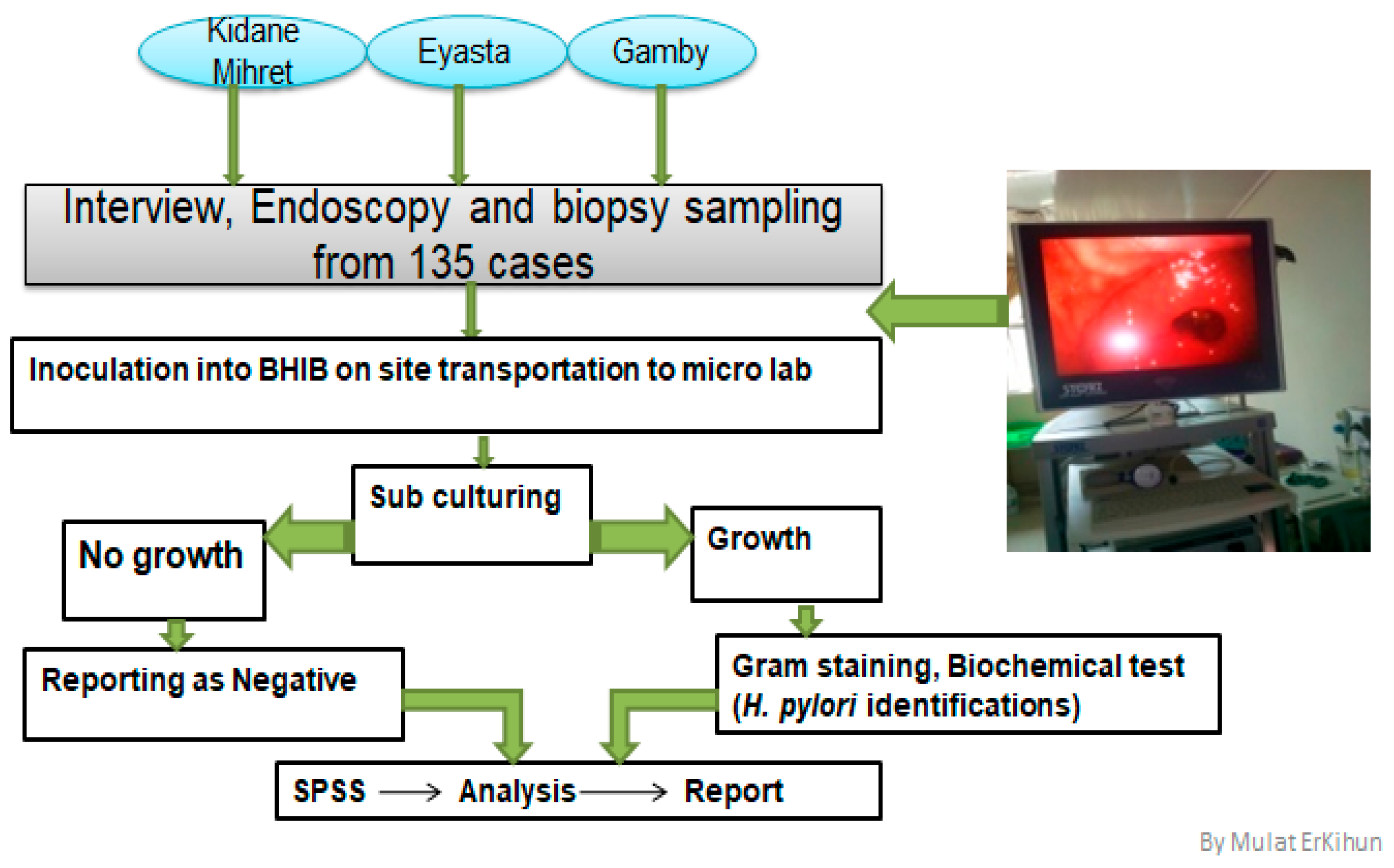 Bacteria 04 00032 g001