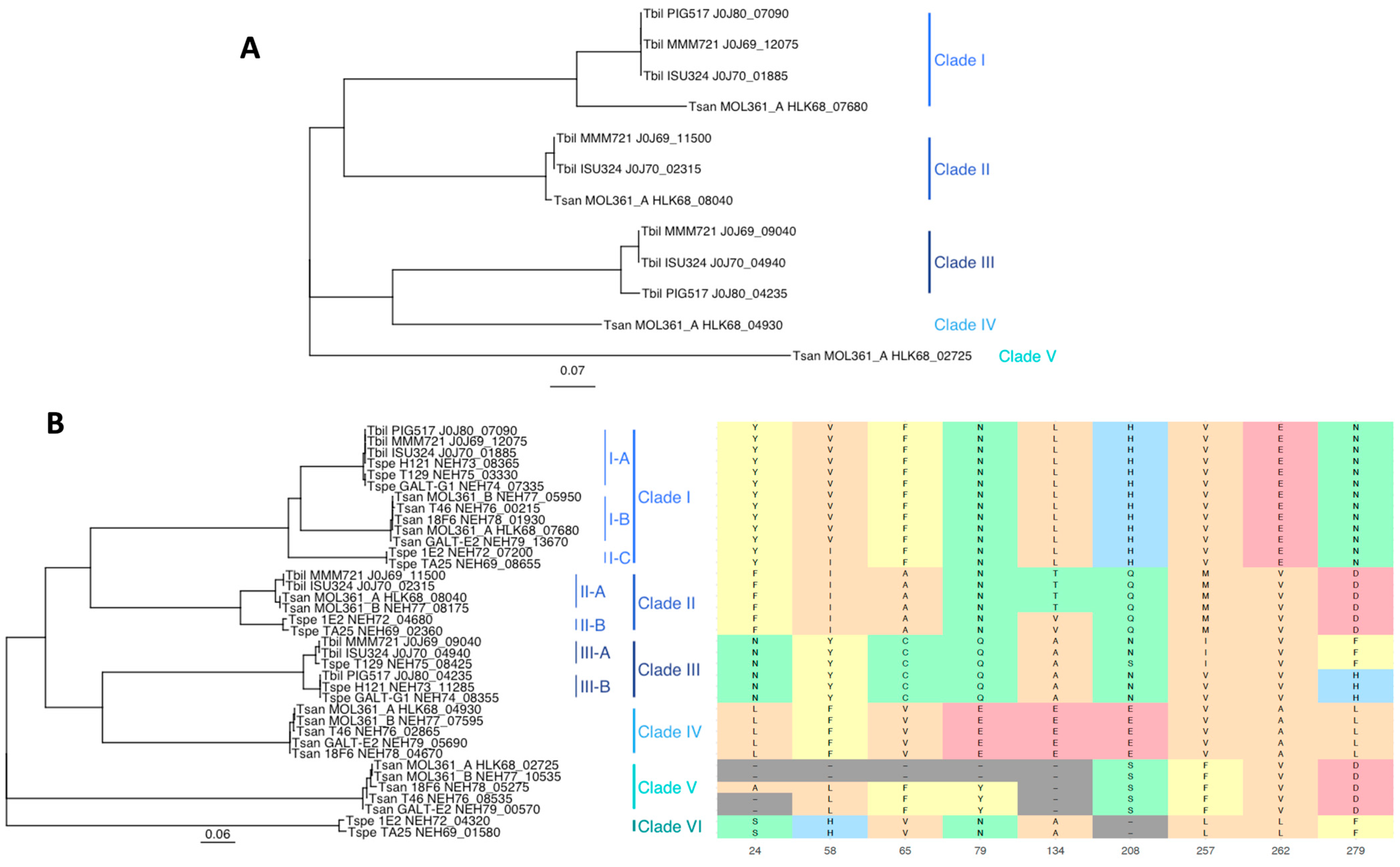 Bacteria 04 00035 g004