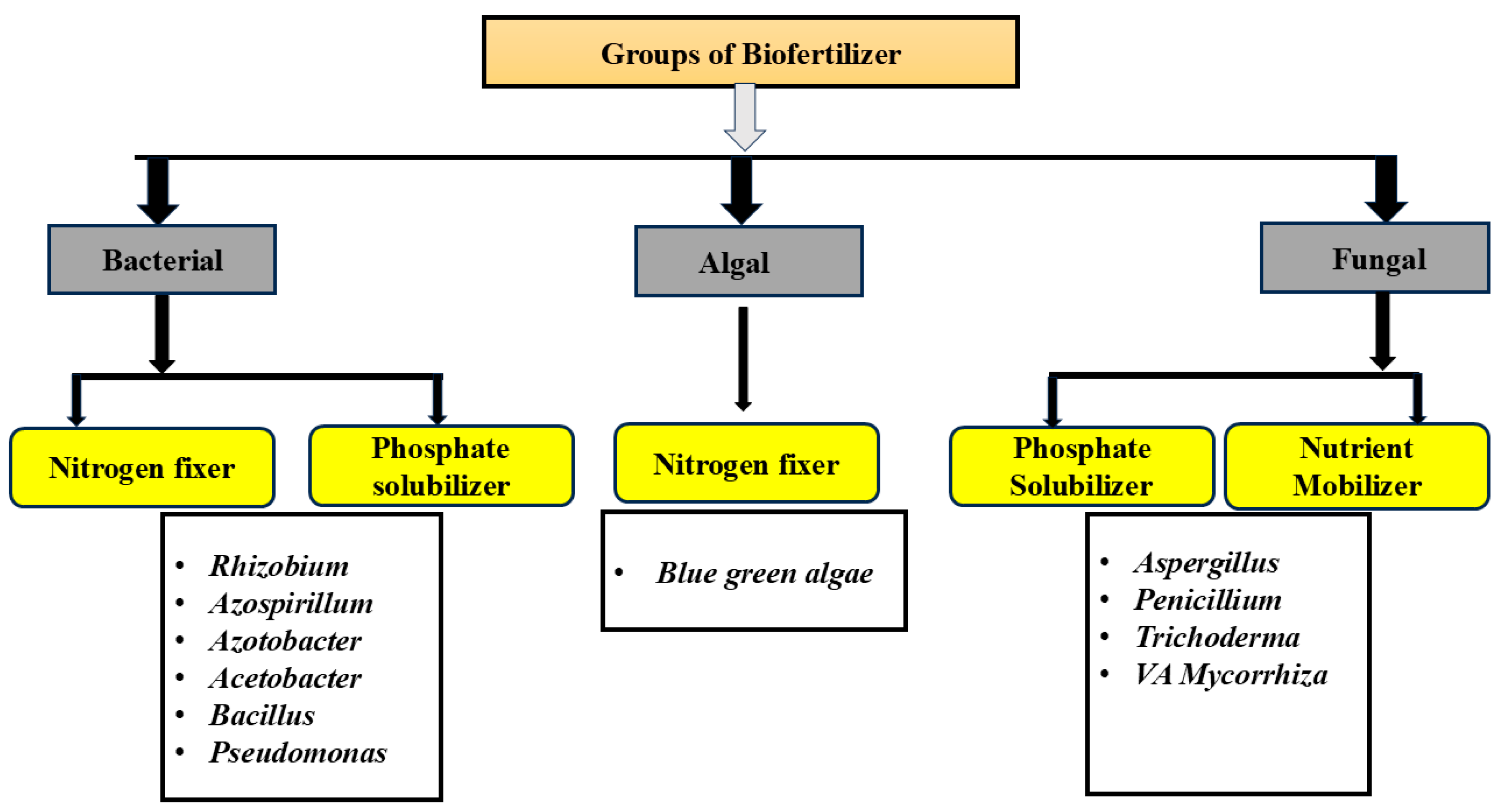 Bacteria 04 00036 g001