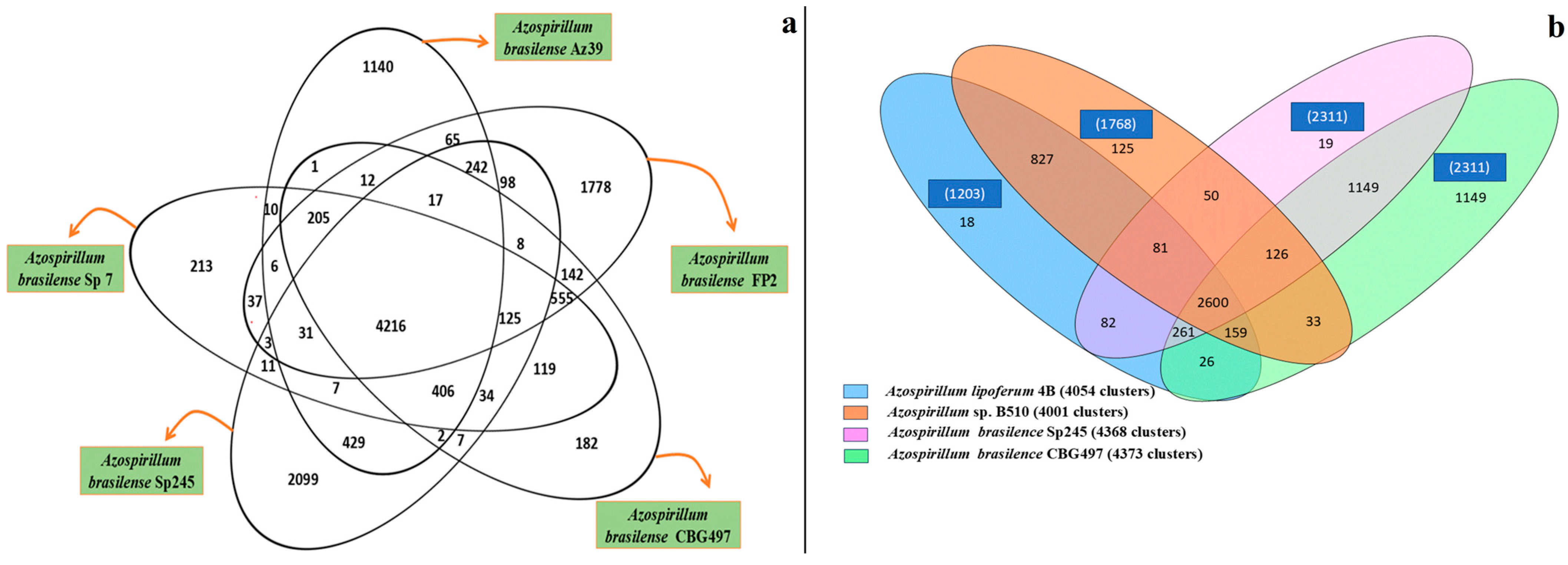 Bacteria 04 00036 g002