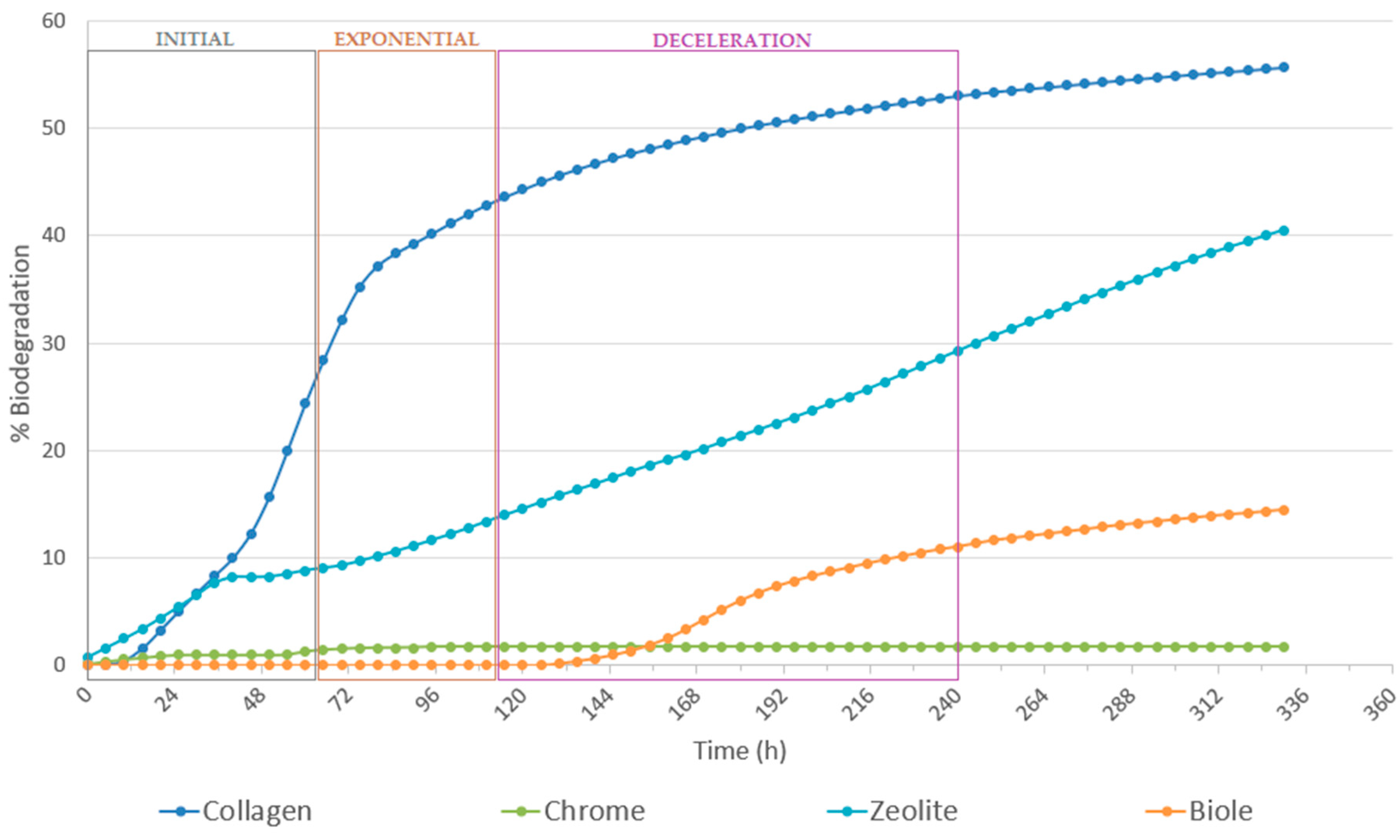 Bacteria 04 00037 g001