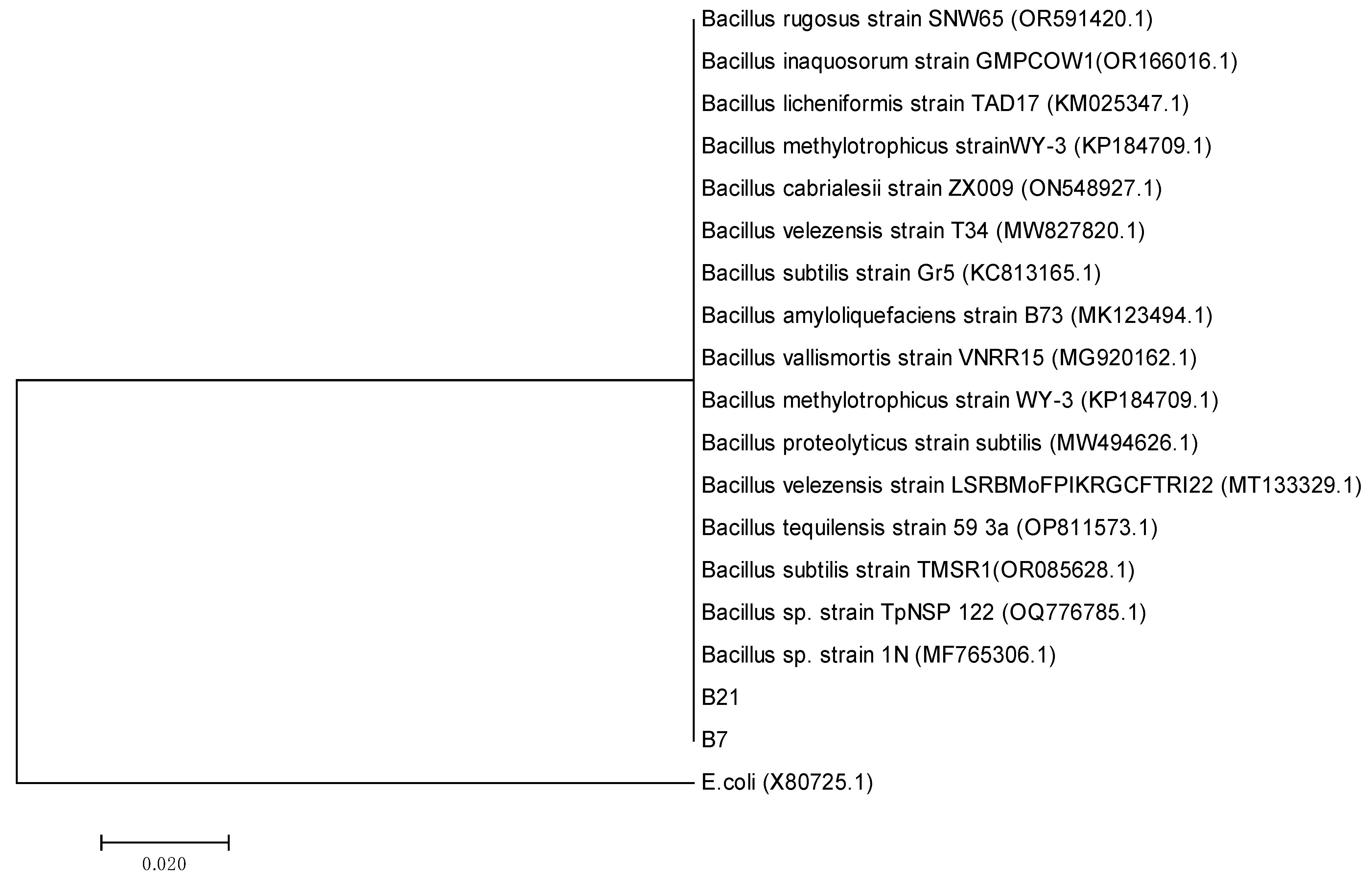 Bacteria 04 00039 g002
