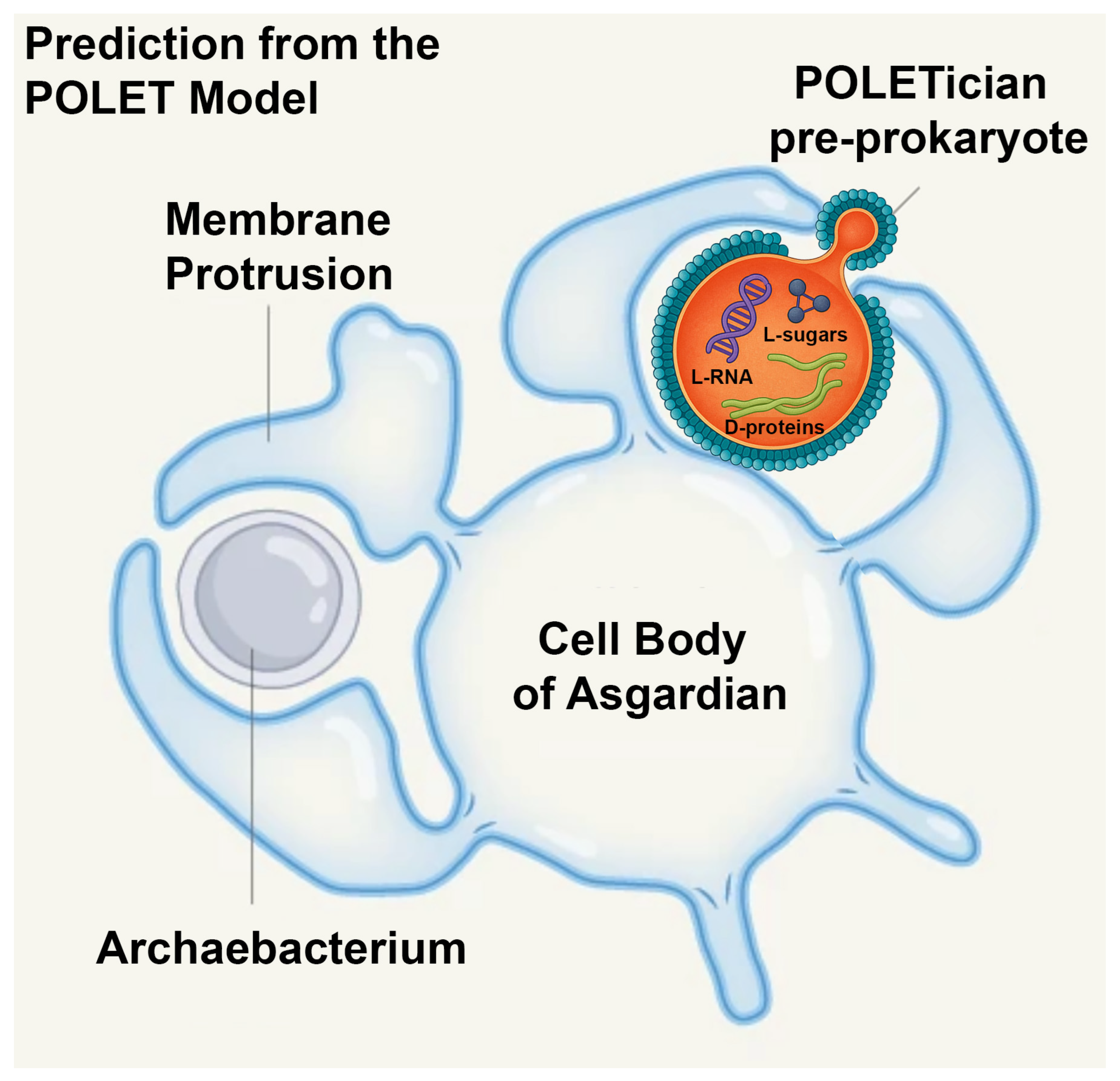Bacteria 04 00042 g001