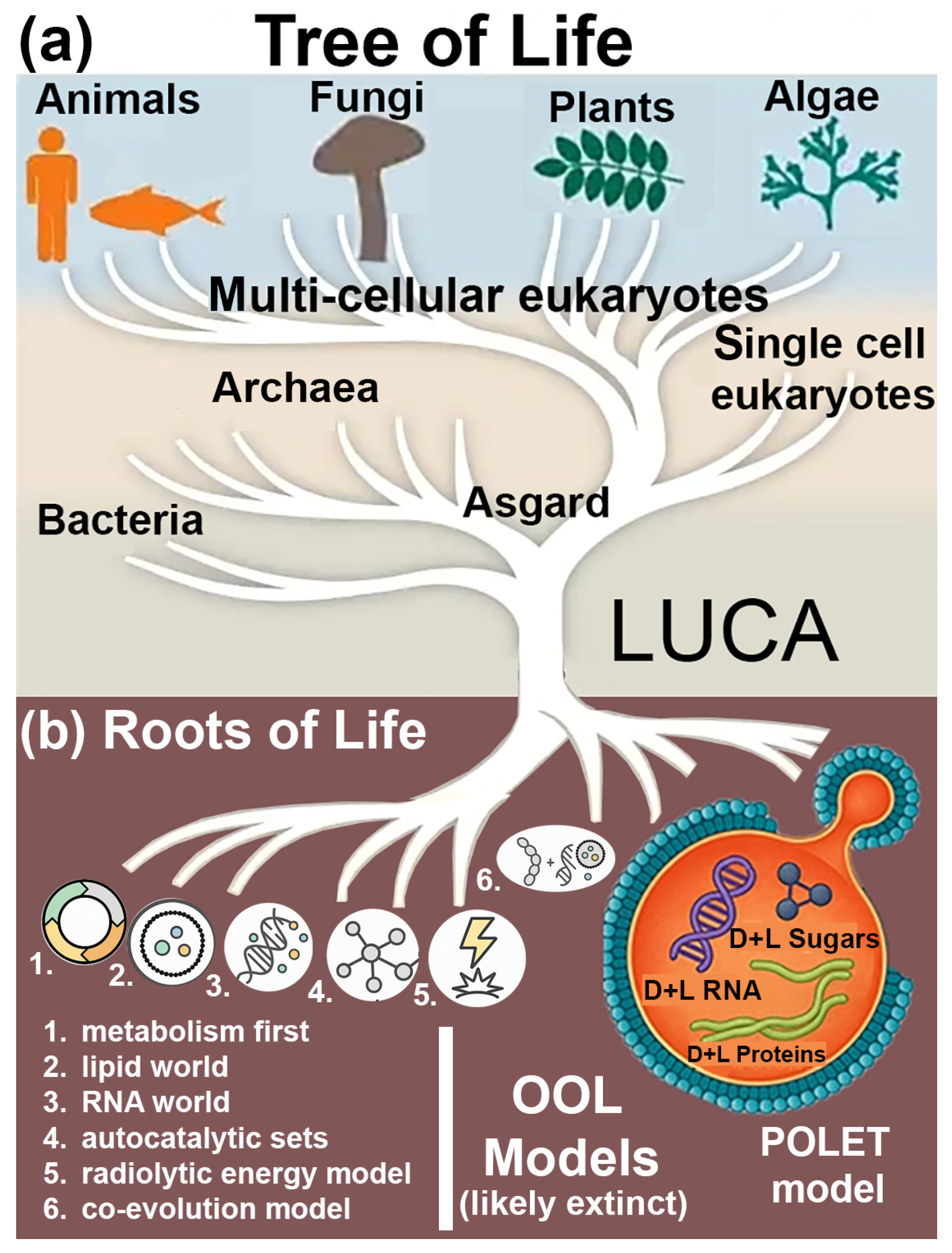 Bacteria 04 00042 g002