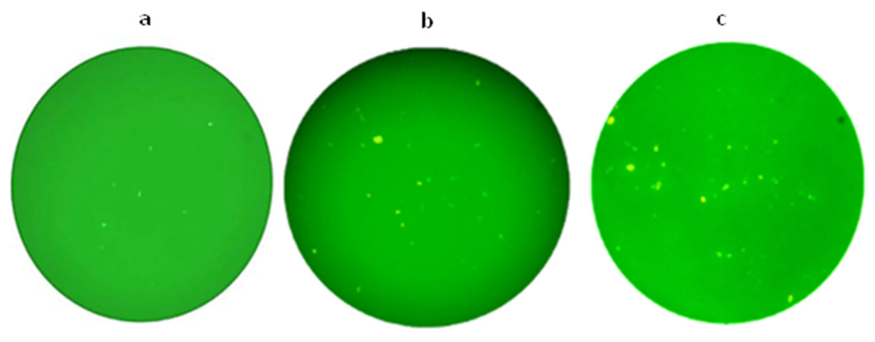 Bacteria 04 00047 g002