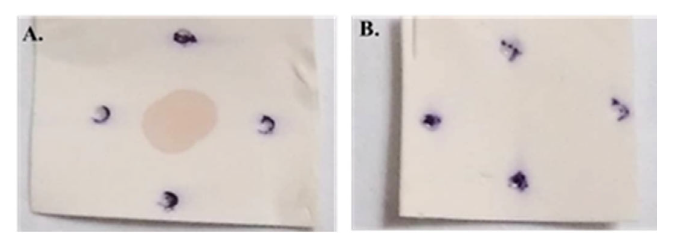 Bacteria 04 00047 g005