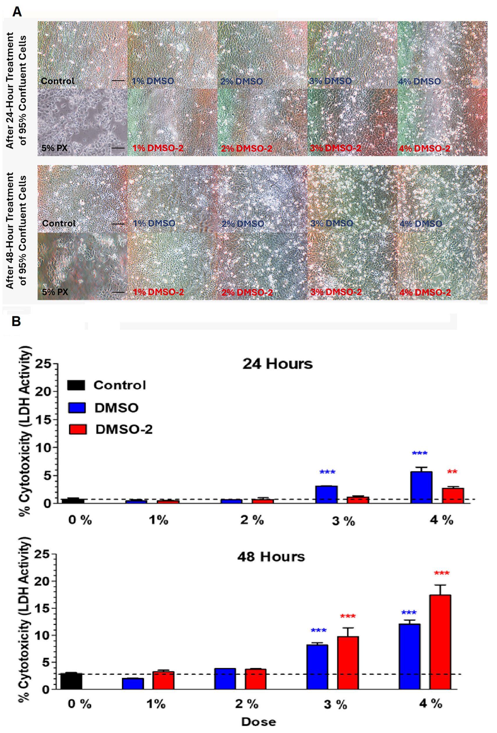 Bacteria 04 00057 g006