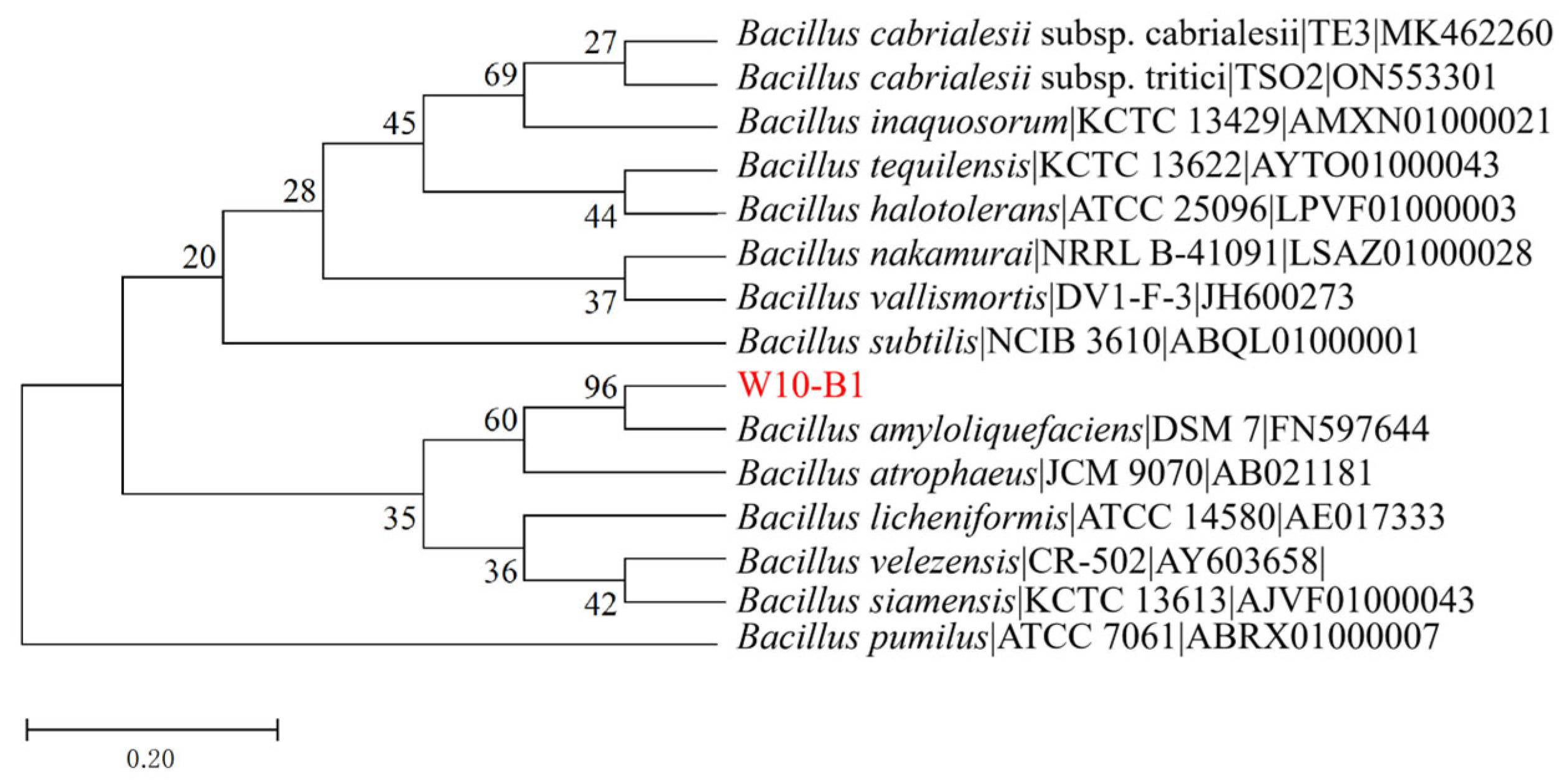 Bacteria 05 00003 g001