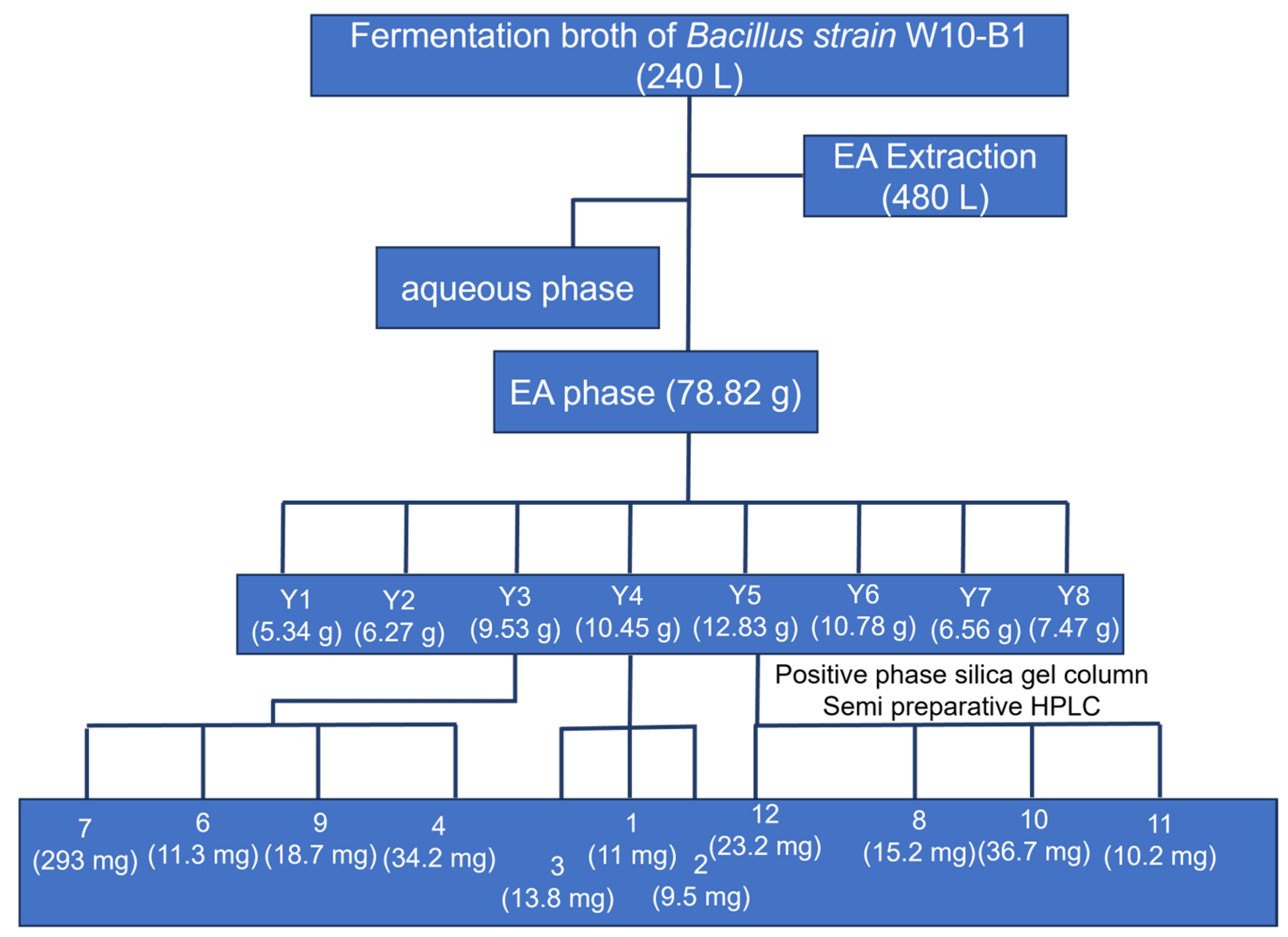 Bacteria 05 00003 g002