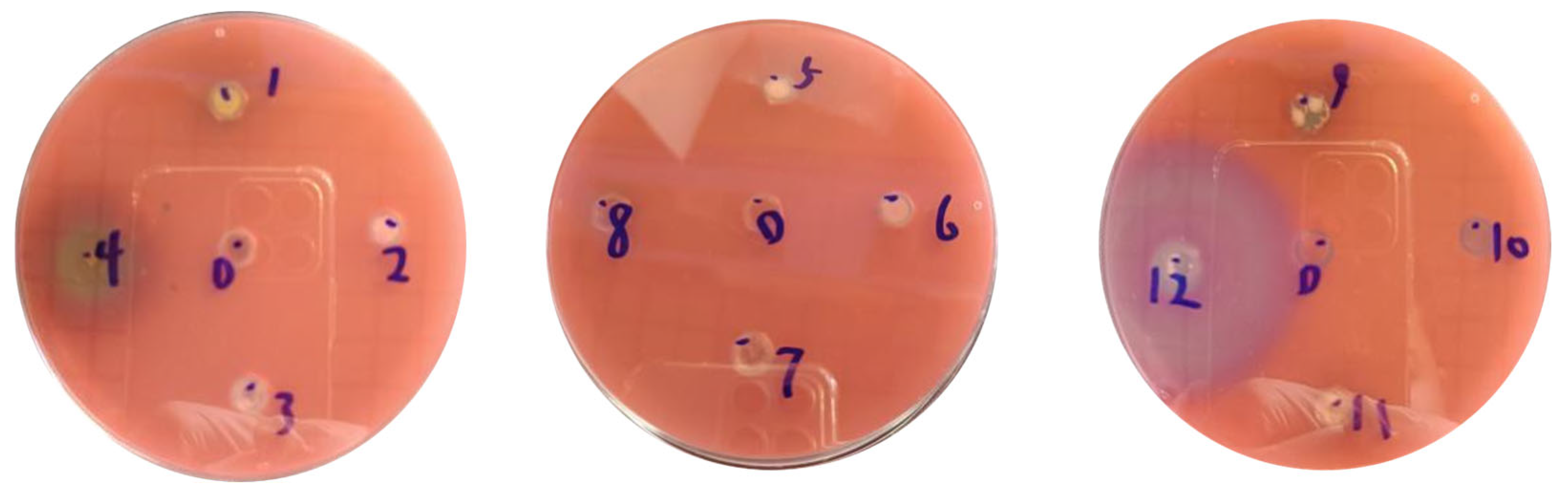 Bacteria 05 00003 g004