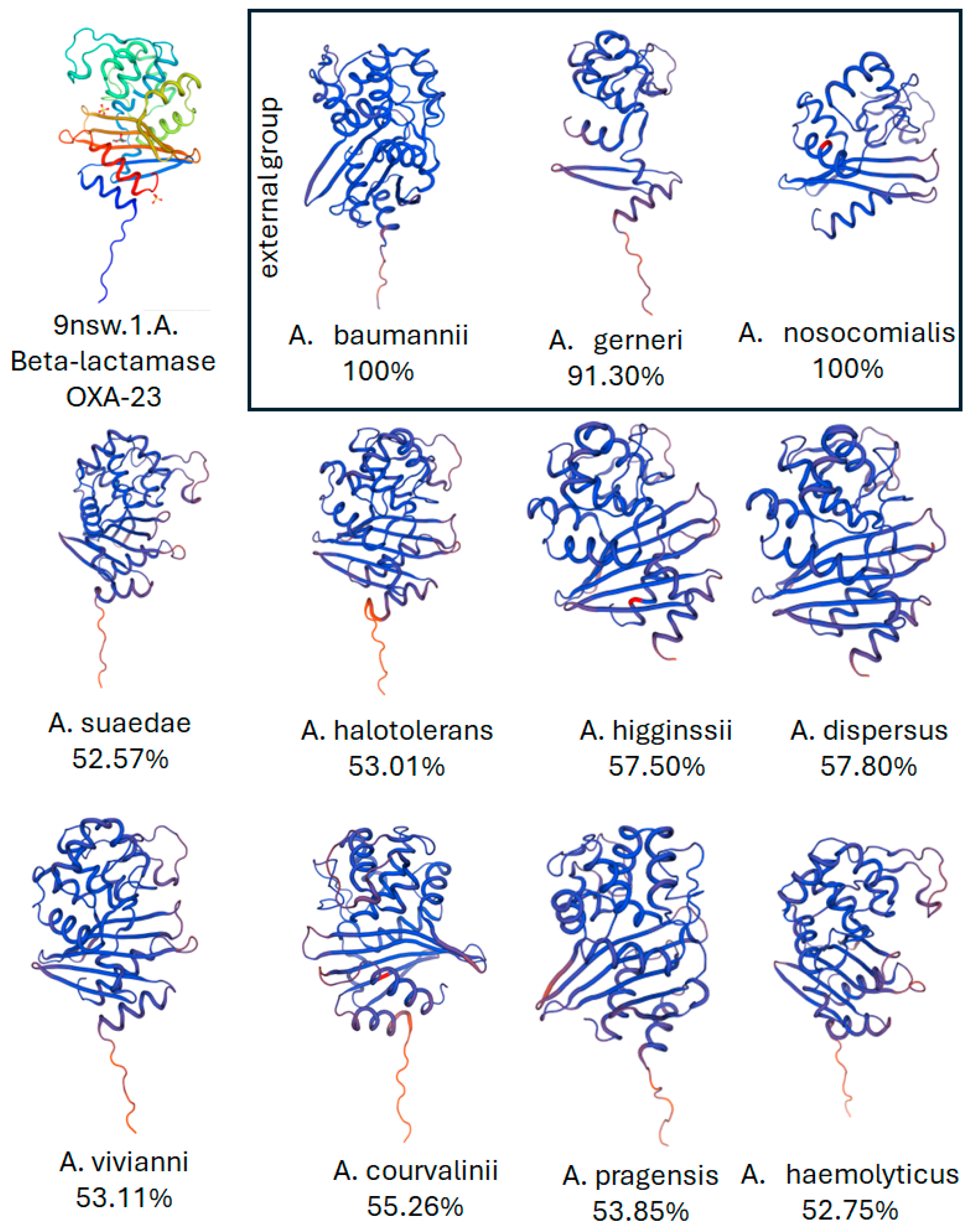Bacteria 05 00014 g005 Bacteria 05 00014 g005