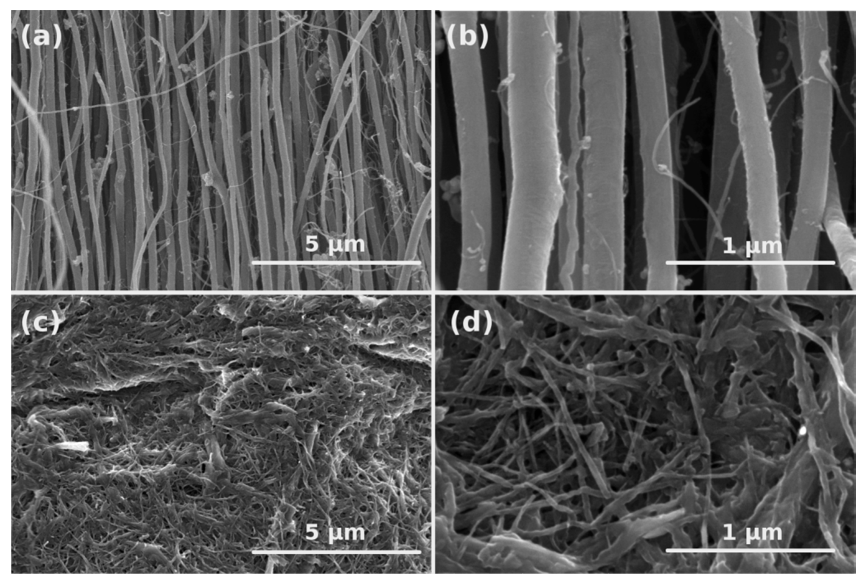 Batteries 05 00060 g001
