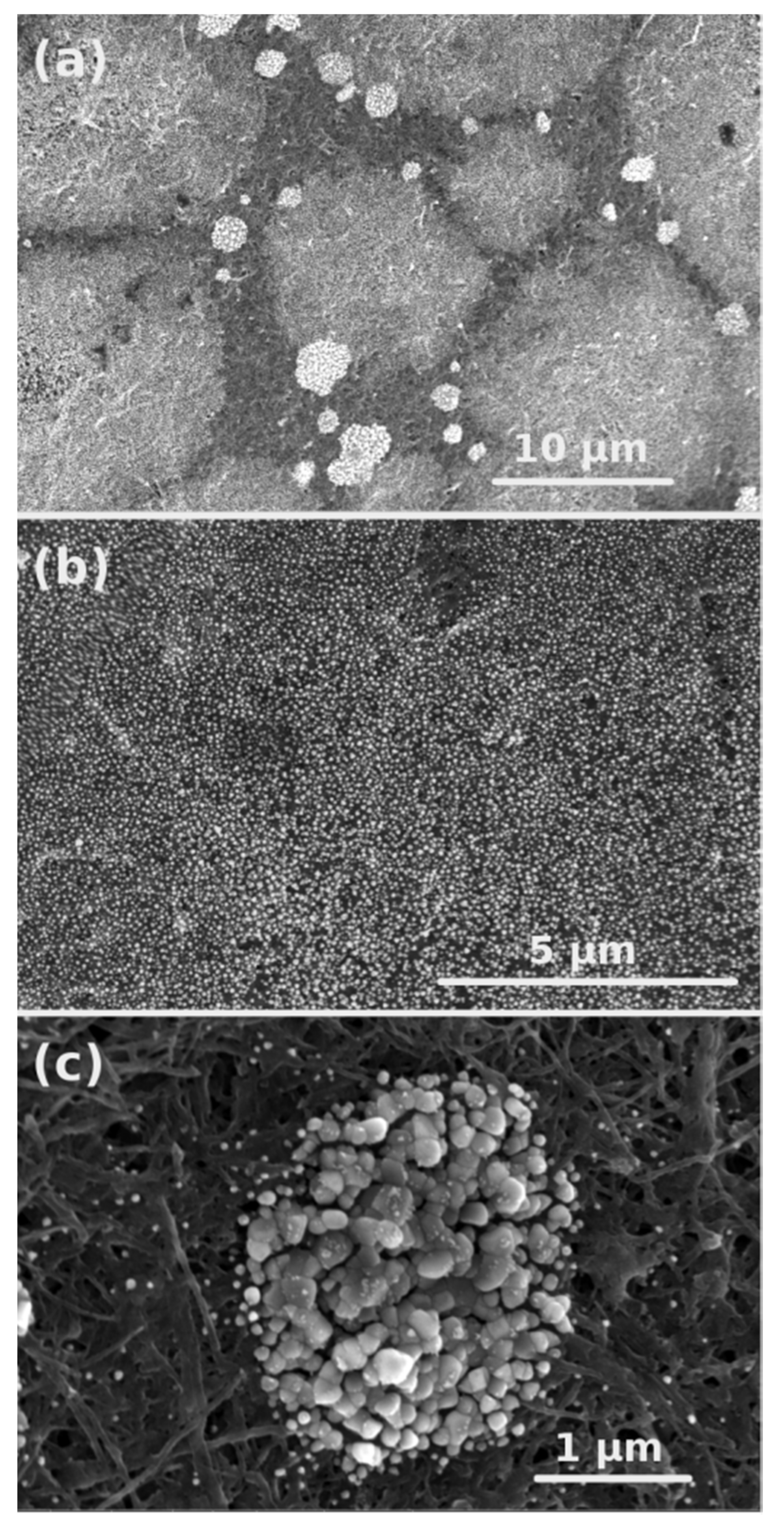 Batteries 05 00060 g003