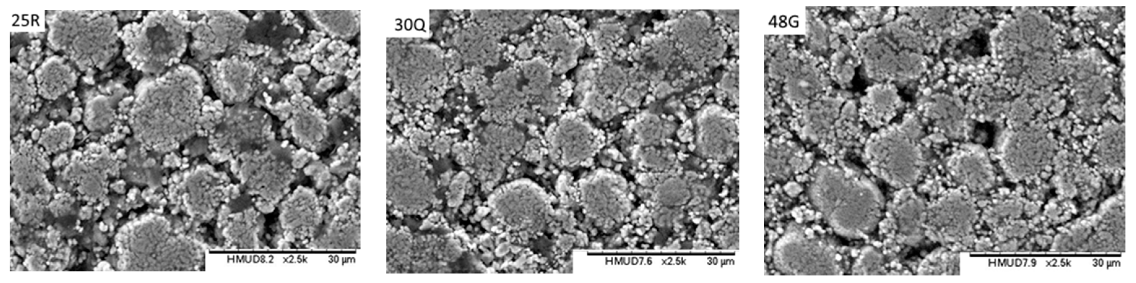 Batteries 05 00064 g009b 550