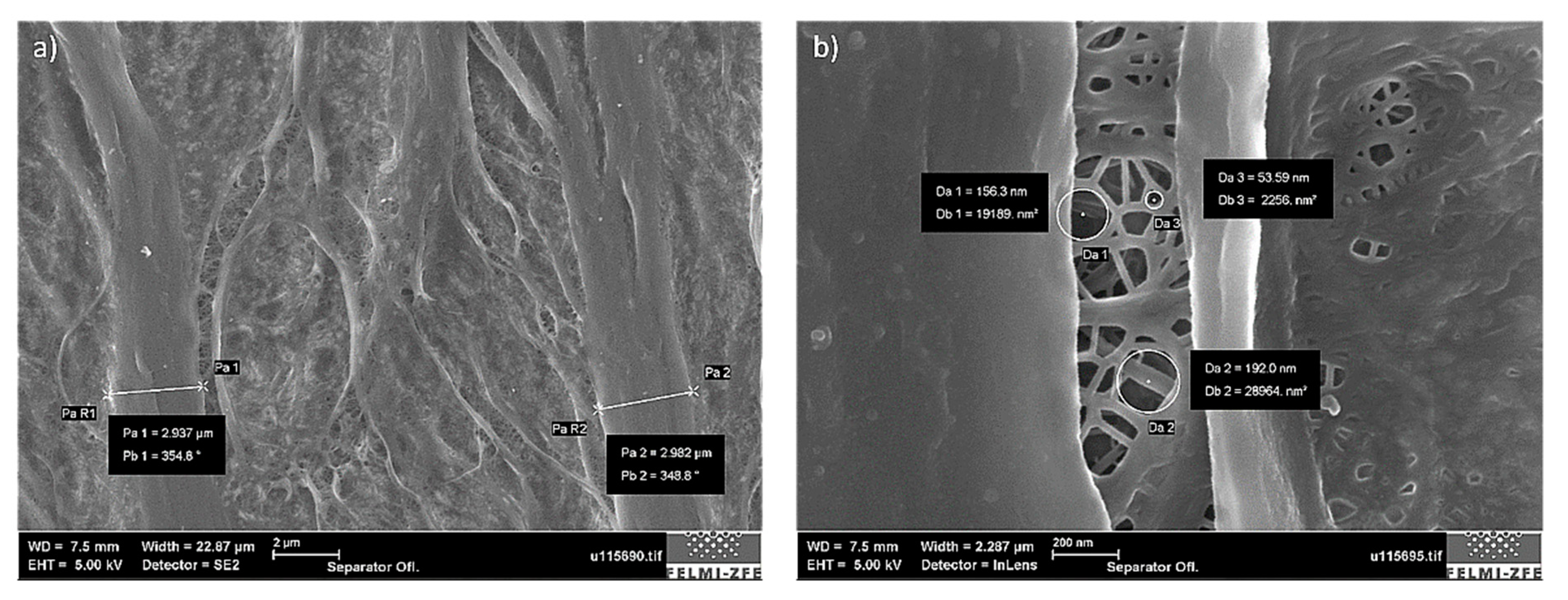 Batteries 05 00067 g012
