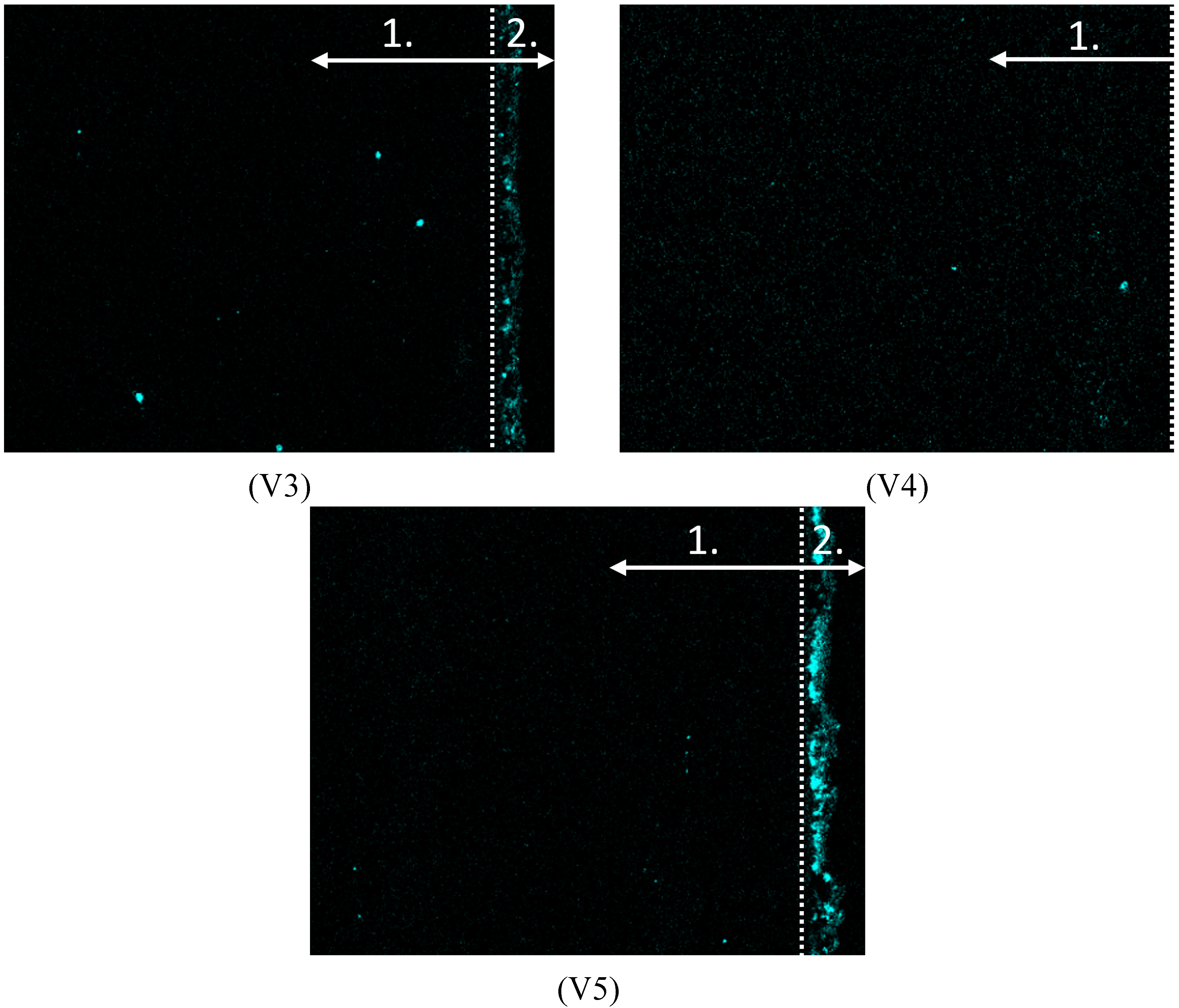 Batteries 05 00073 g015b