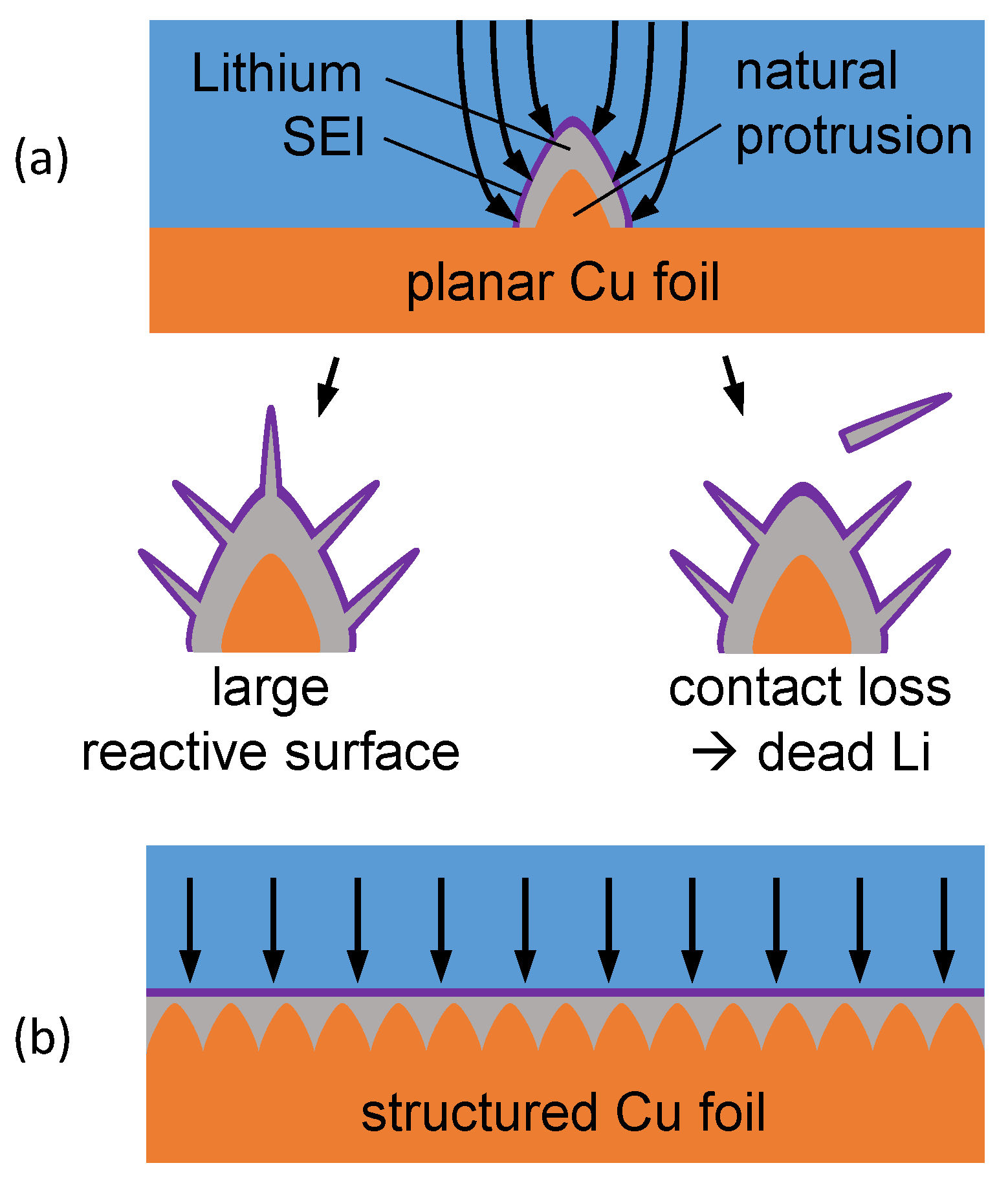 Batteries 06 00020 g001
