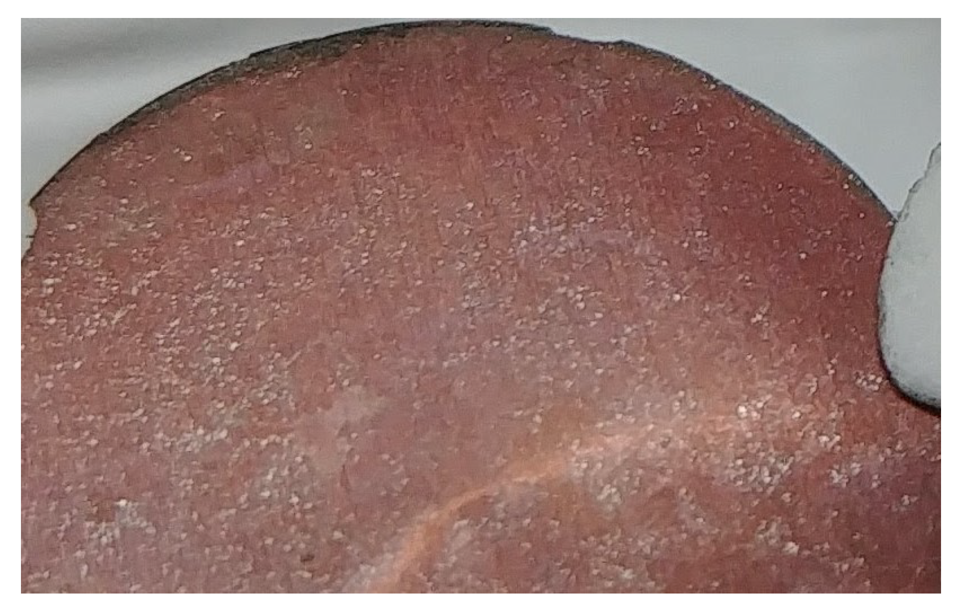 Batteries 06 00020 g006