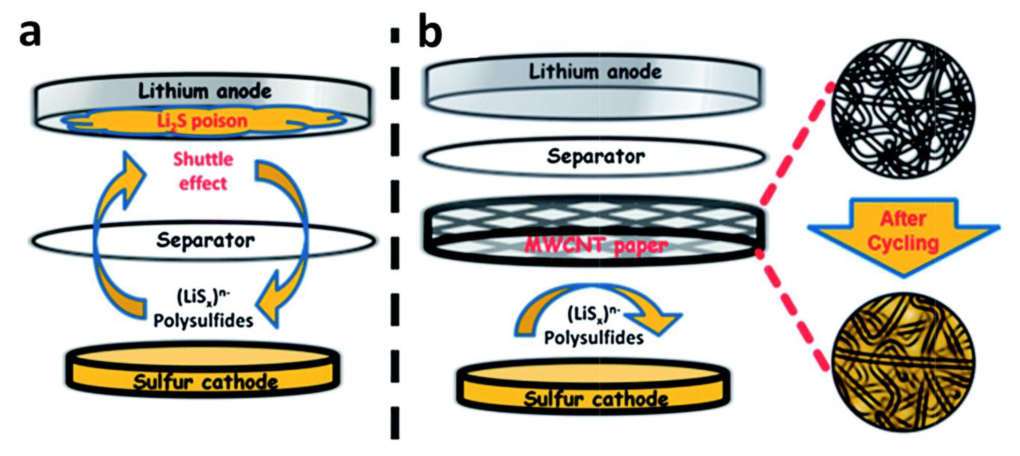 The Toxicity of Secondary Lithium-Sulfur Batteries Components