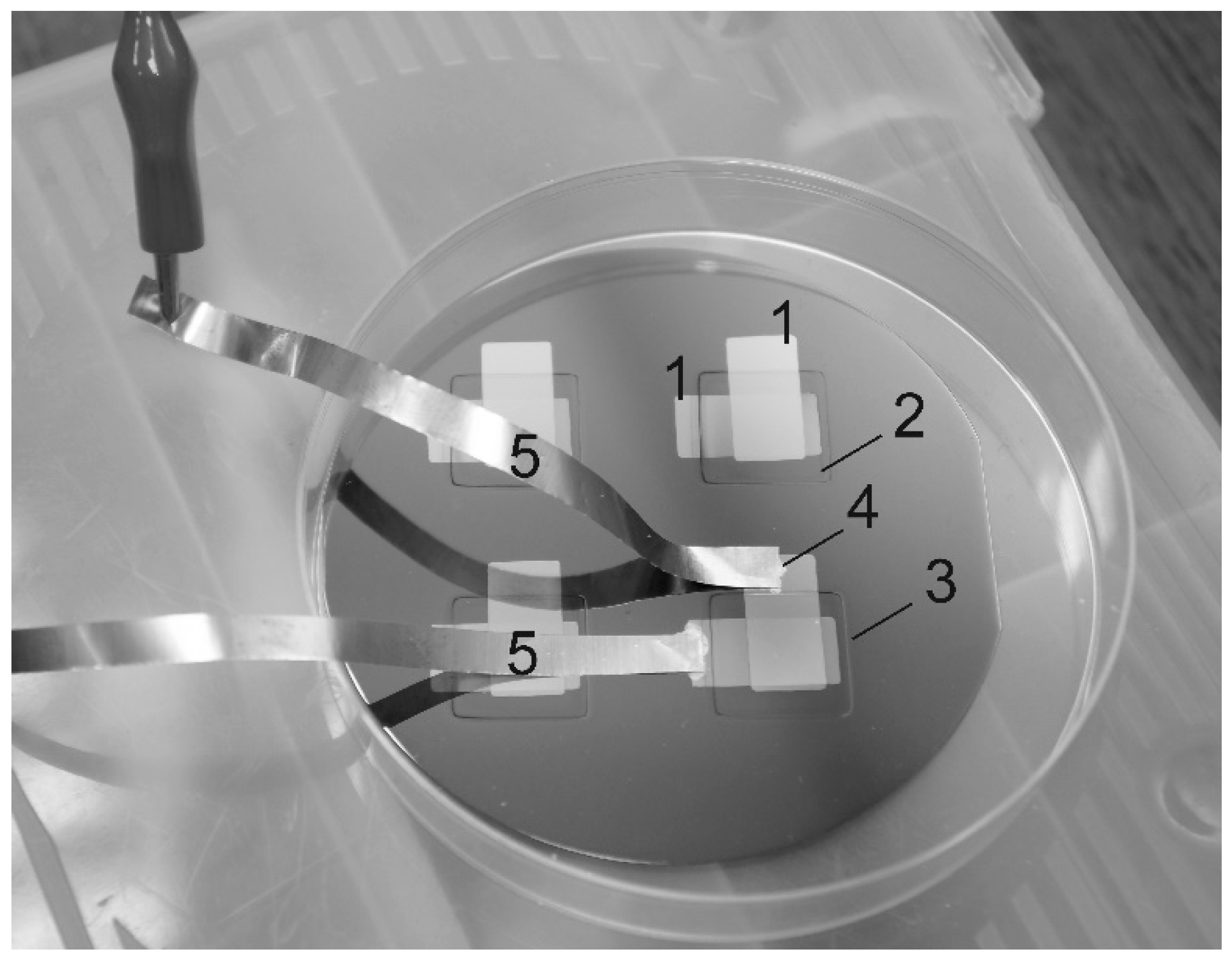 Batteries 07 00021 g001 550